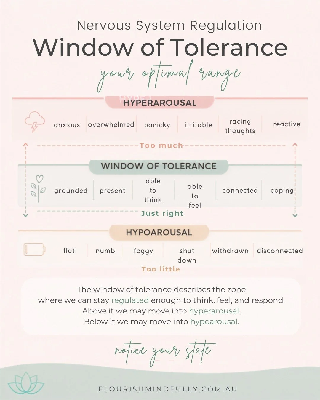 Understanding Your Window of Tolerance 🌿

The Window of Tolerance describes the range in which your nervous system has enough capacity to meet what is happening.

Within your window, you may still feel stress, sadness, frustration or pressure - but 