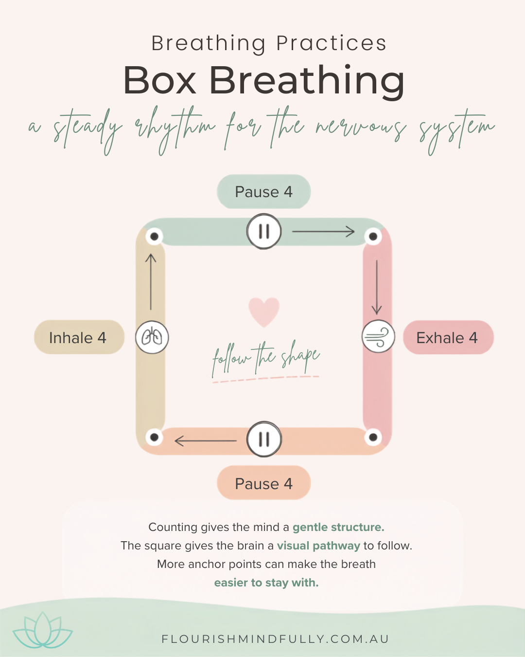 Box breathing infographic showing inhale for four, pause for four, exhale for four and pause for four around a square.