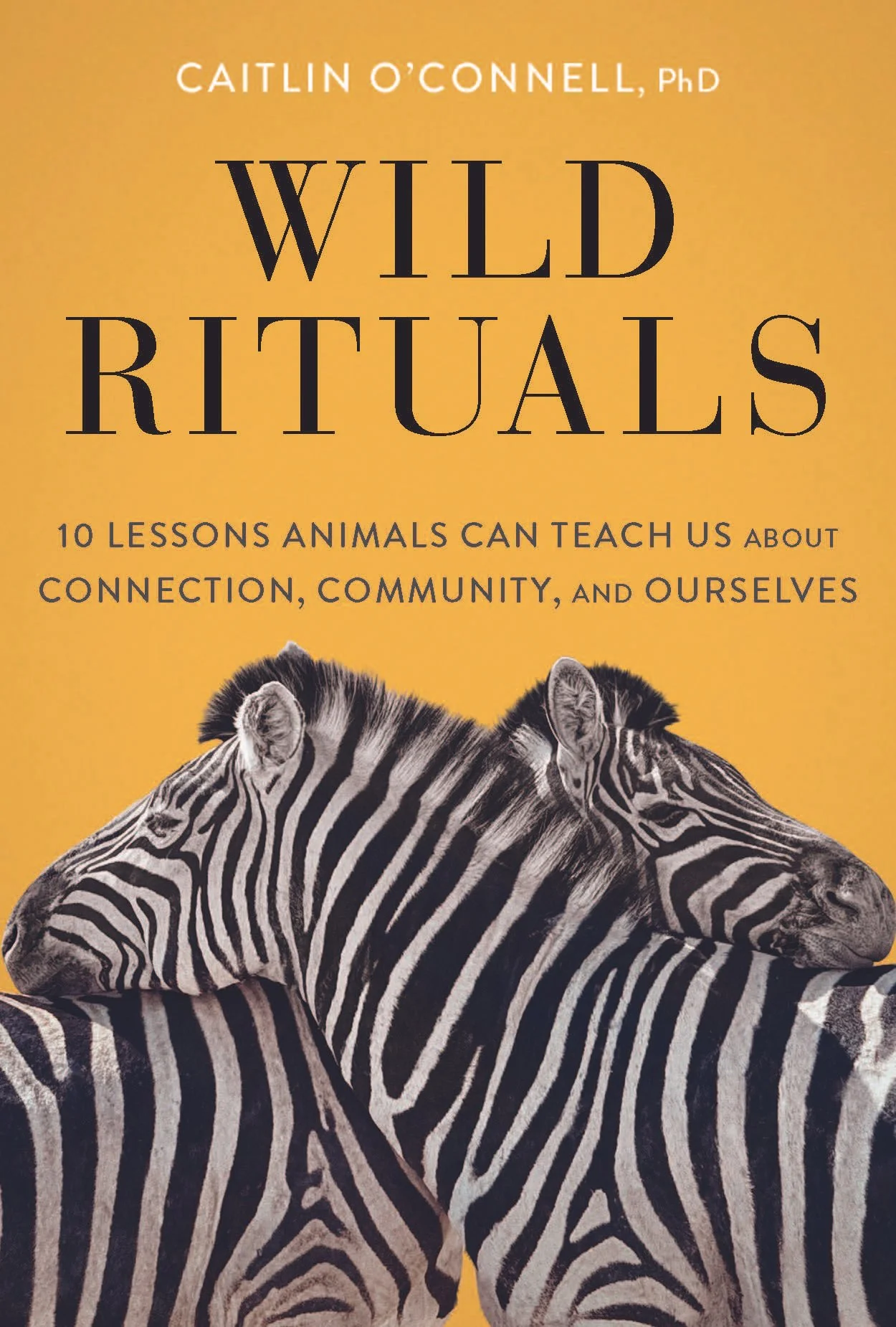 Wild Rituals Final Cover.jpg