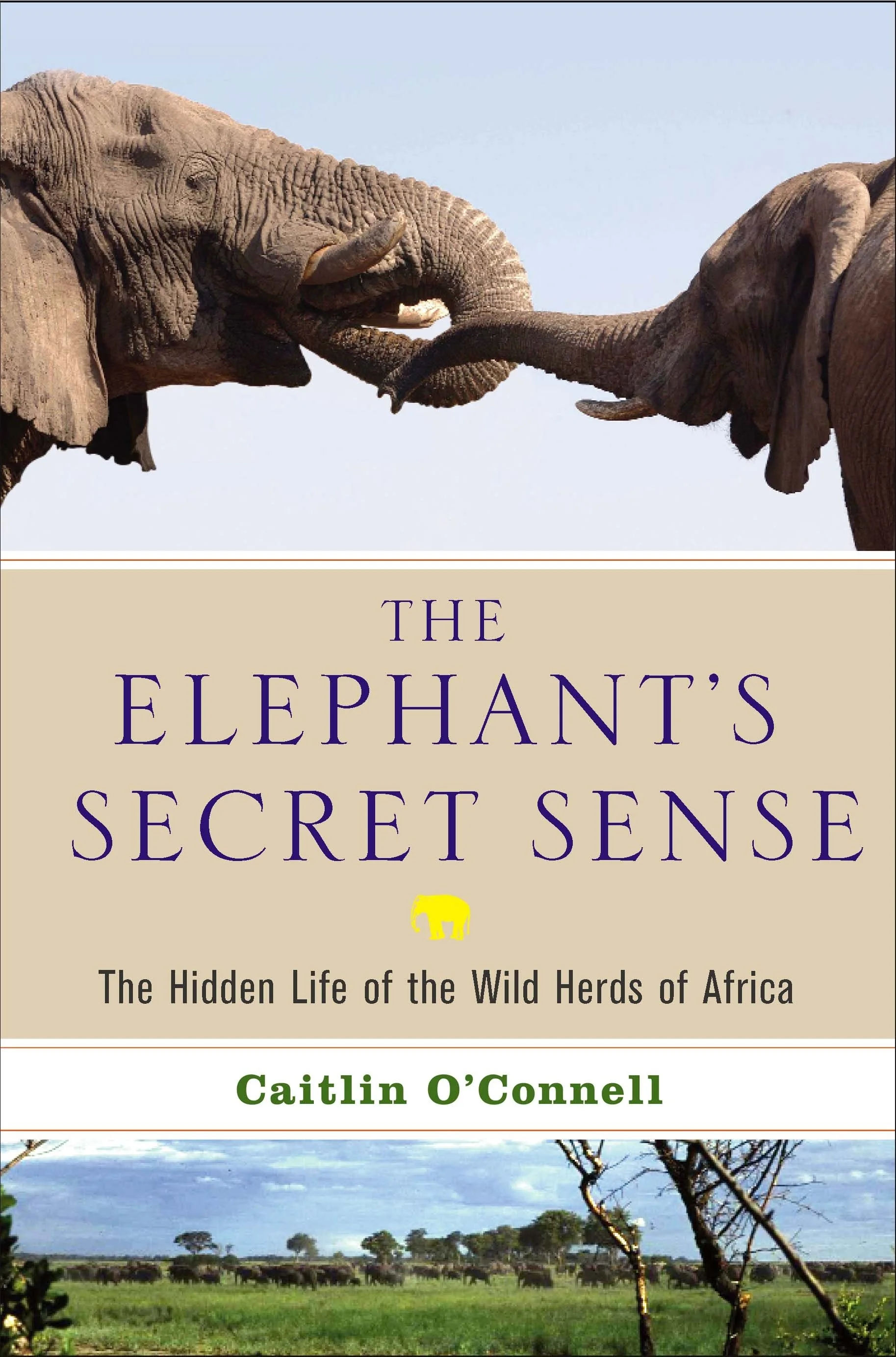 hi res book cover ESS.JPG