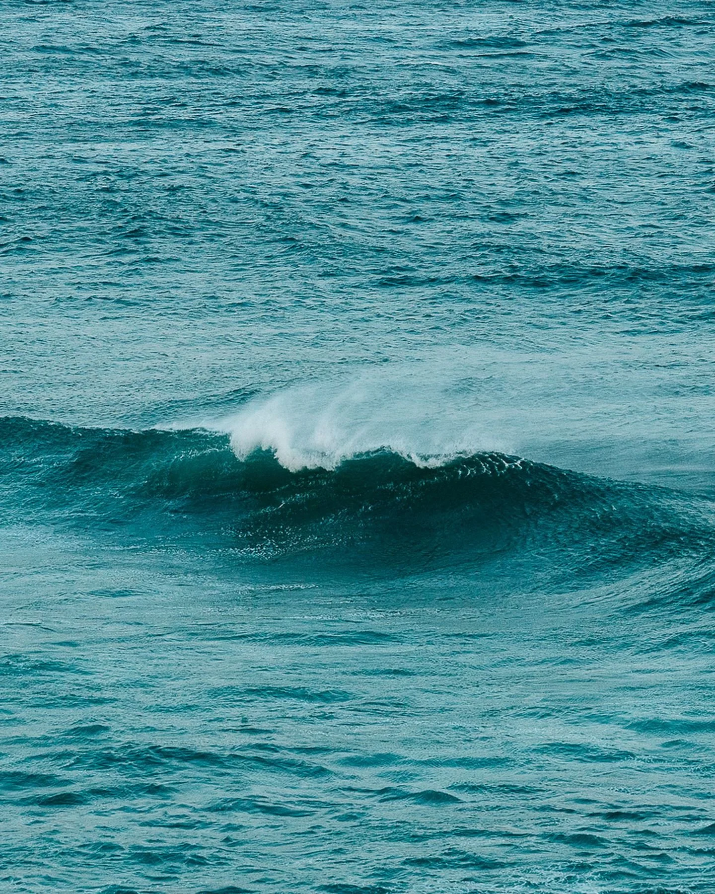 In love with how the light catches waves at sunset. In between searching for whales on the horizon, these waves crashed and played off the cliffs and danced in the golden light 🌊