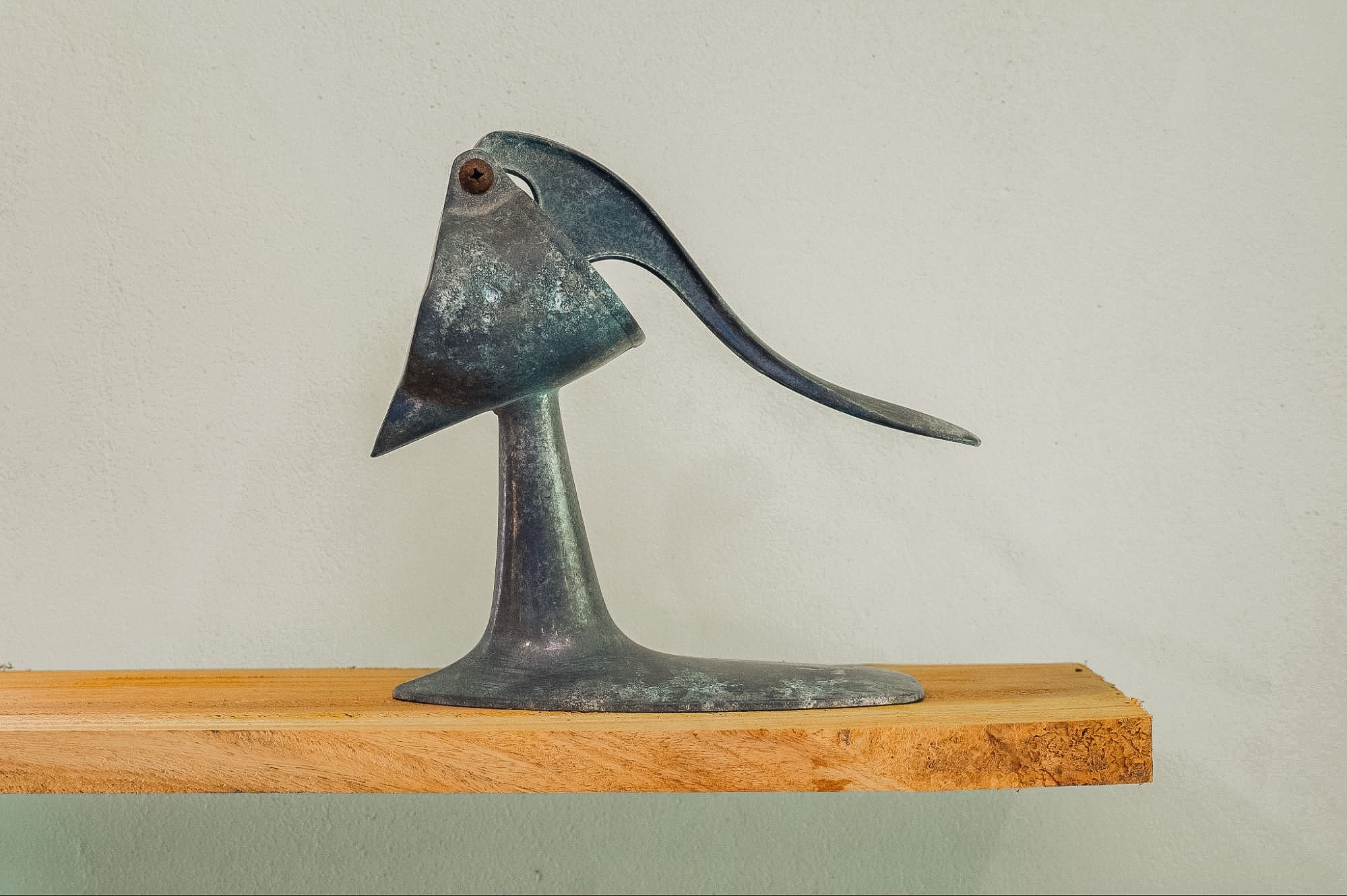 image16.jpg