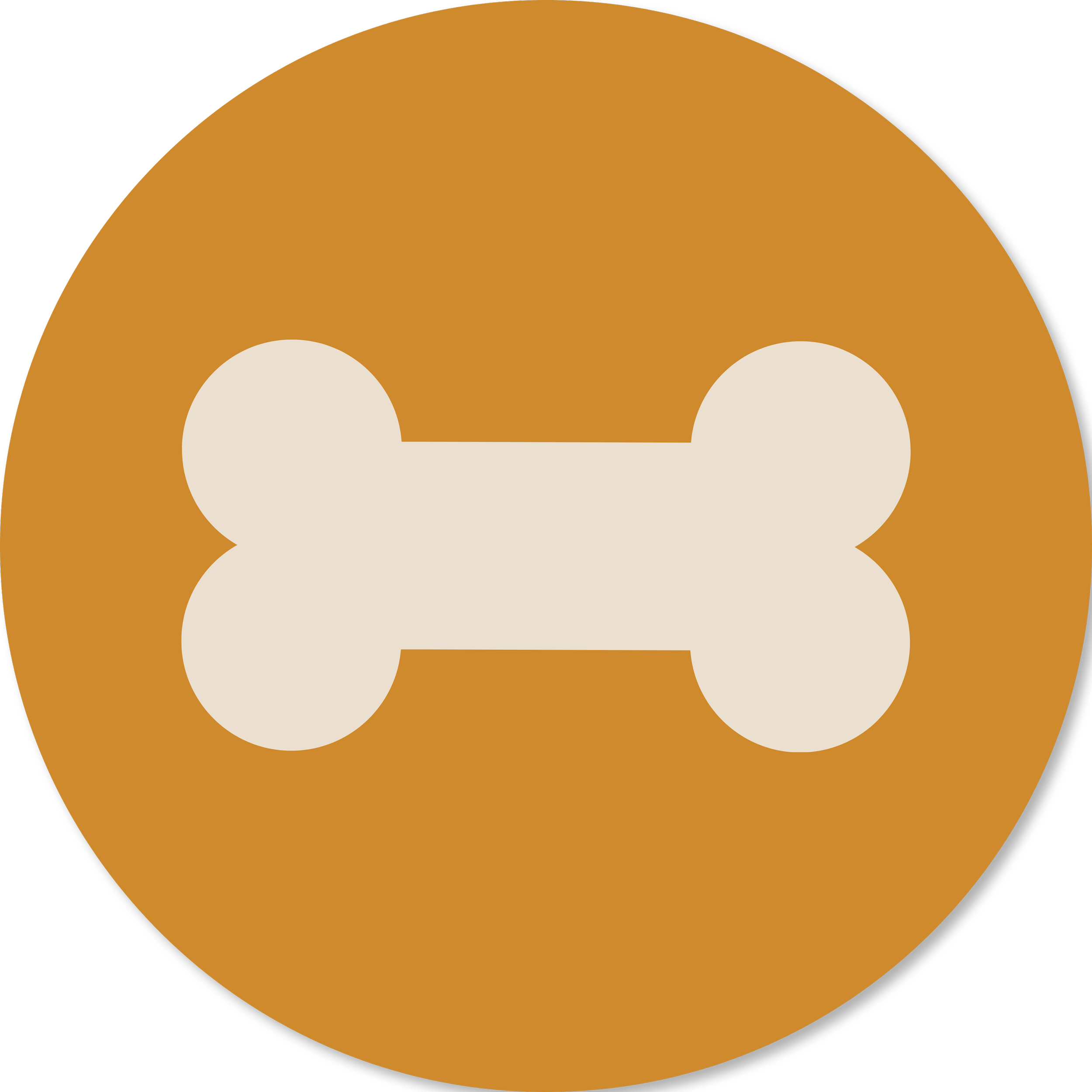 check-ins icon