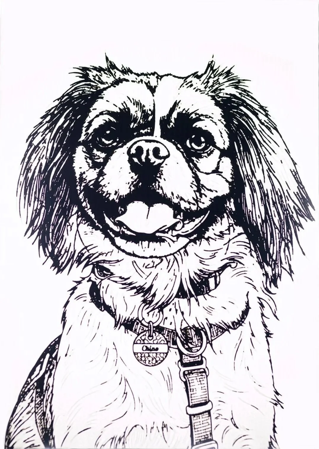 Custom 3D Pet Art – Line Art & Lithophane Edition (A6)