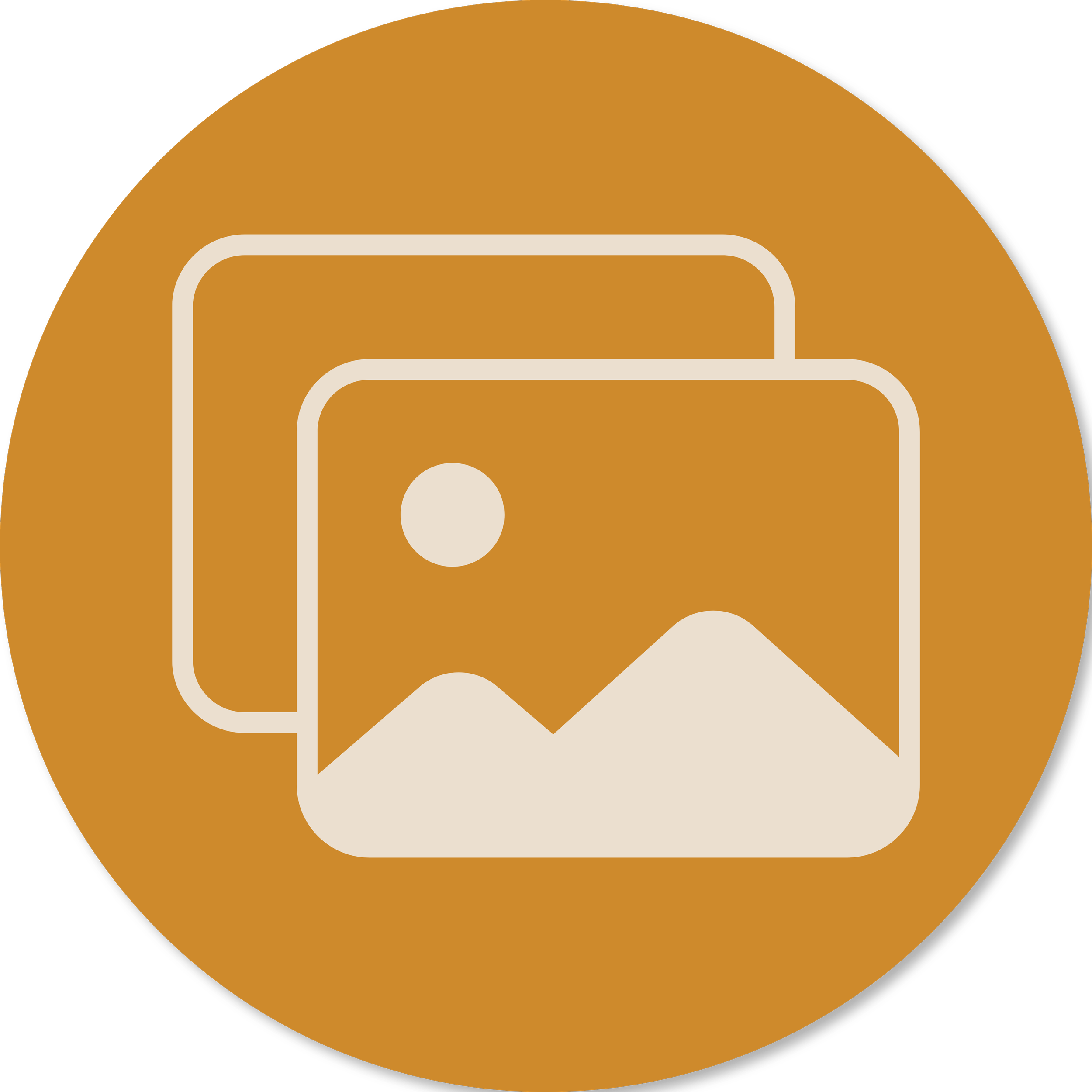 pet prints icon