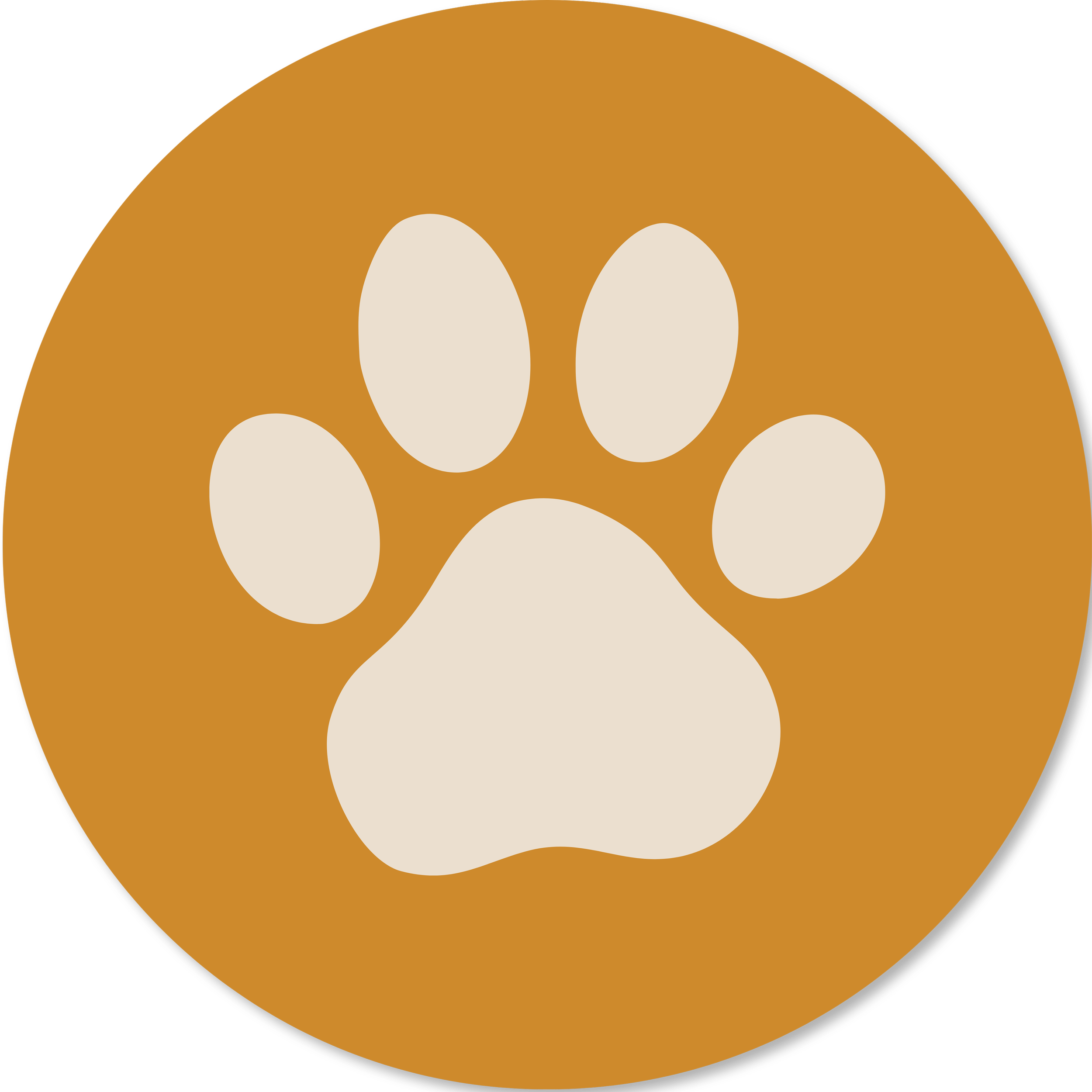 adventures icon