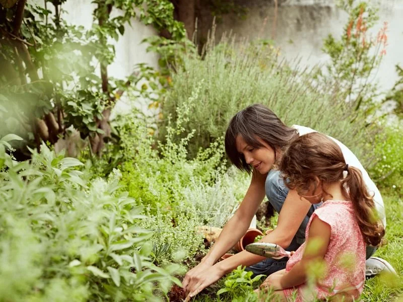 Introduction to Sustainable Gardening – Bathurst