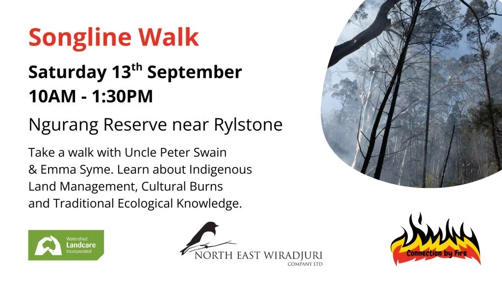 Connection by Fire Songline Walk