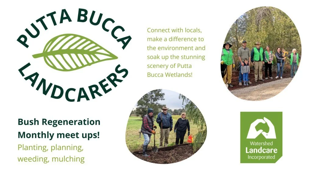 Putta Bucca Landcarers September 2025