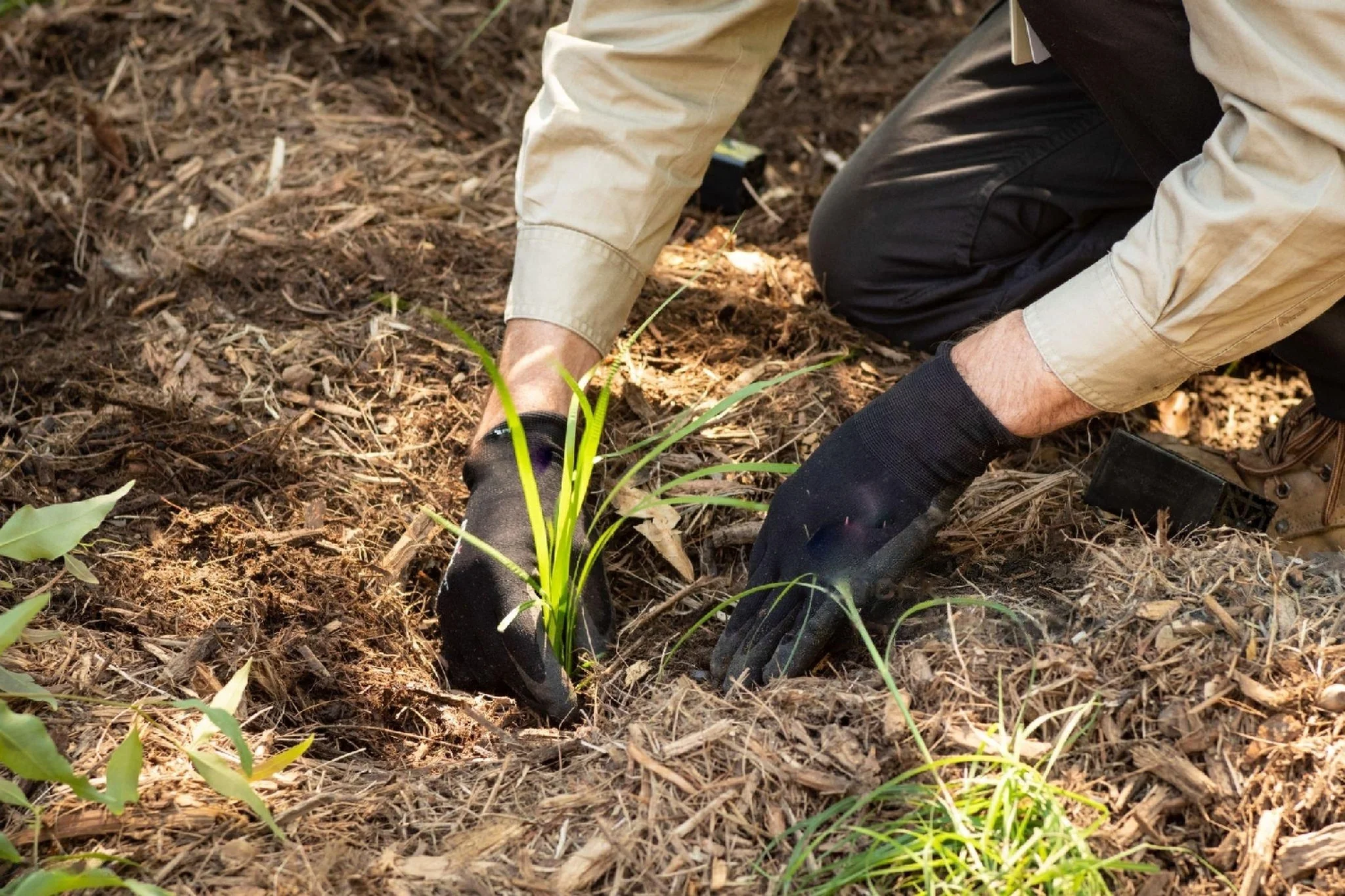 How to nurture a wildlife friendly garden