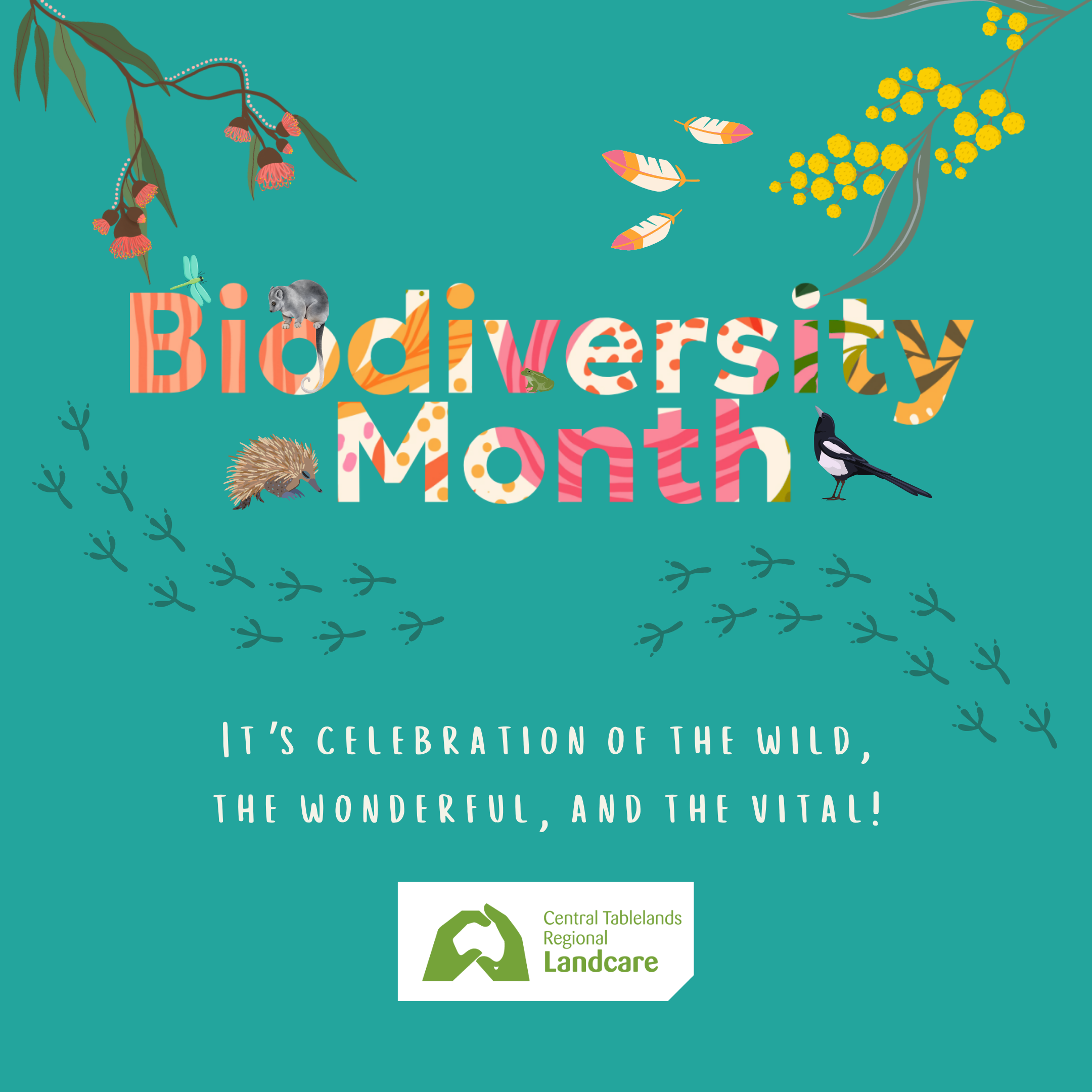 Biodiversity Month