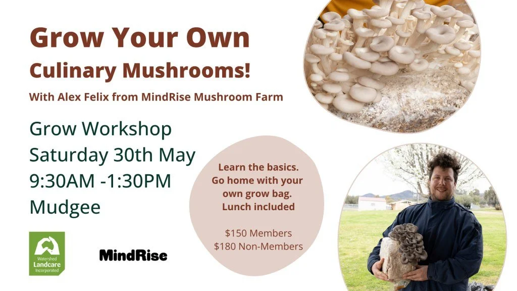 Grow Your Own Mushrooms Workshop