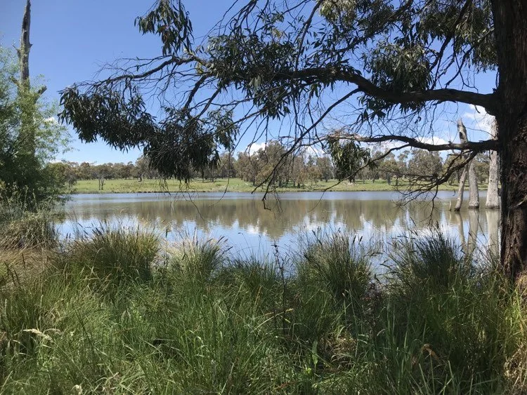 Farm Walk &amp; Real Talk - Natural Capital Explained