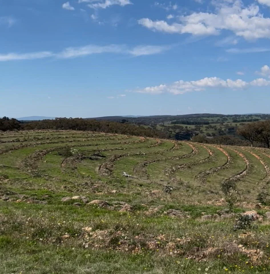 Campbells River Paddock Walk with Little River Landcare
