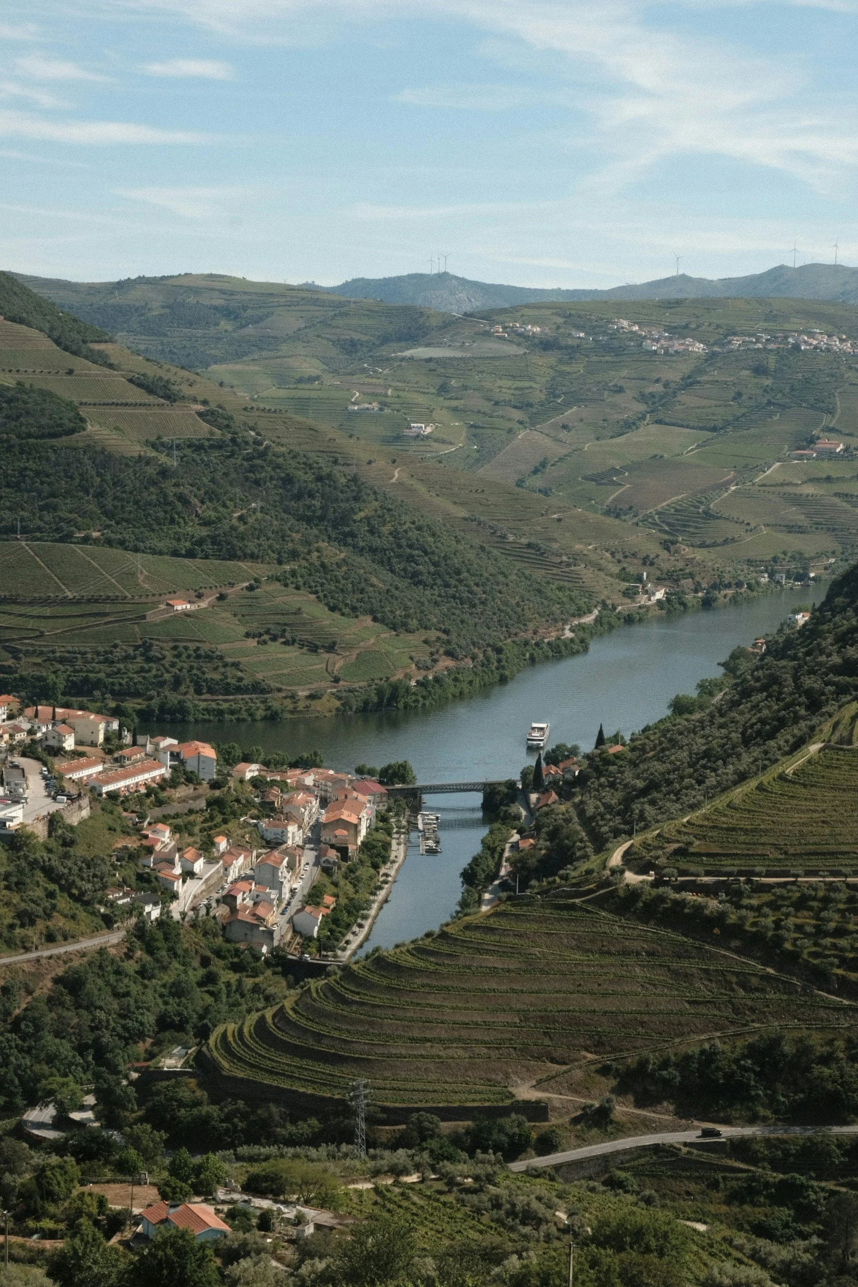 The Douro Valley: A picturesque wine region with terraced vineyards along the Douro River.