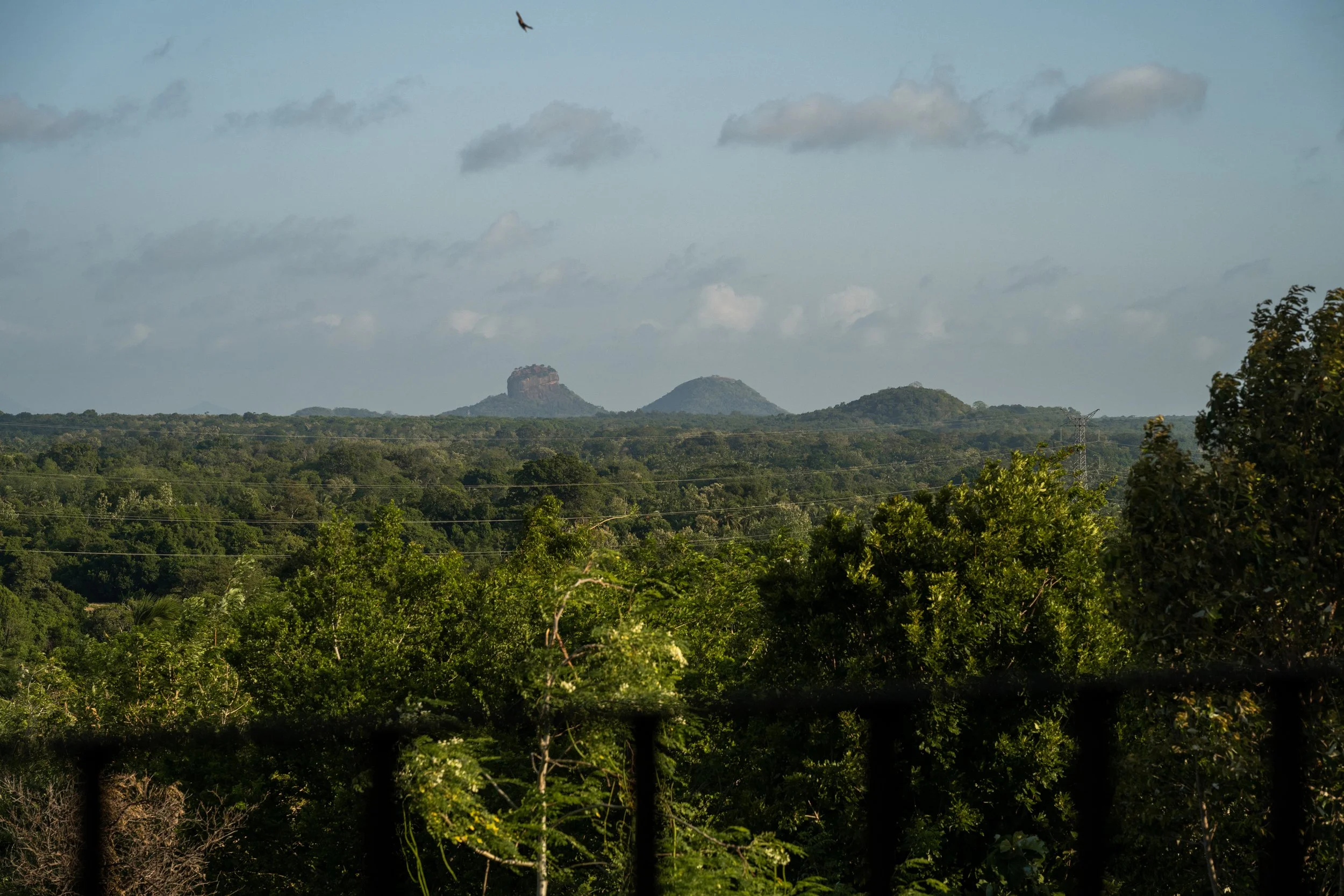 DSC_5522.jpg