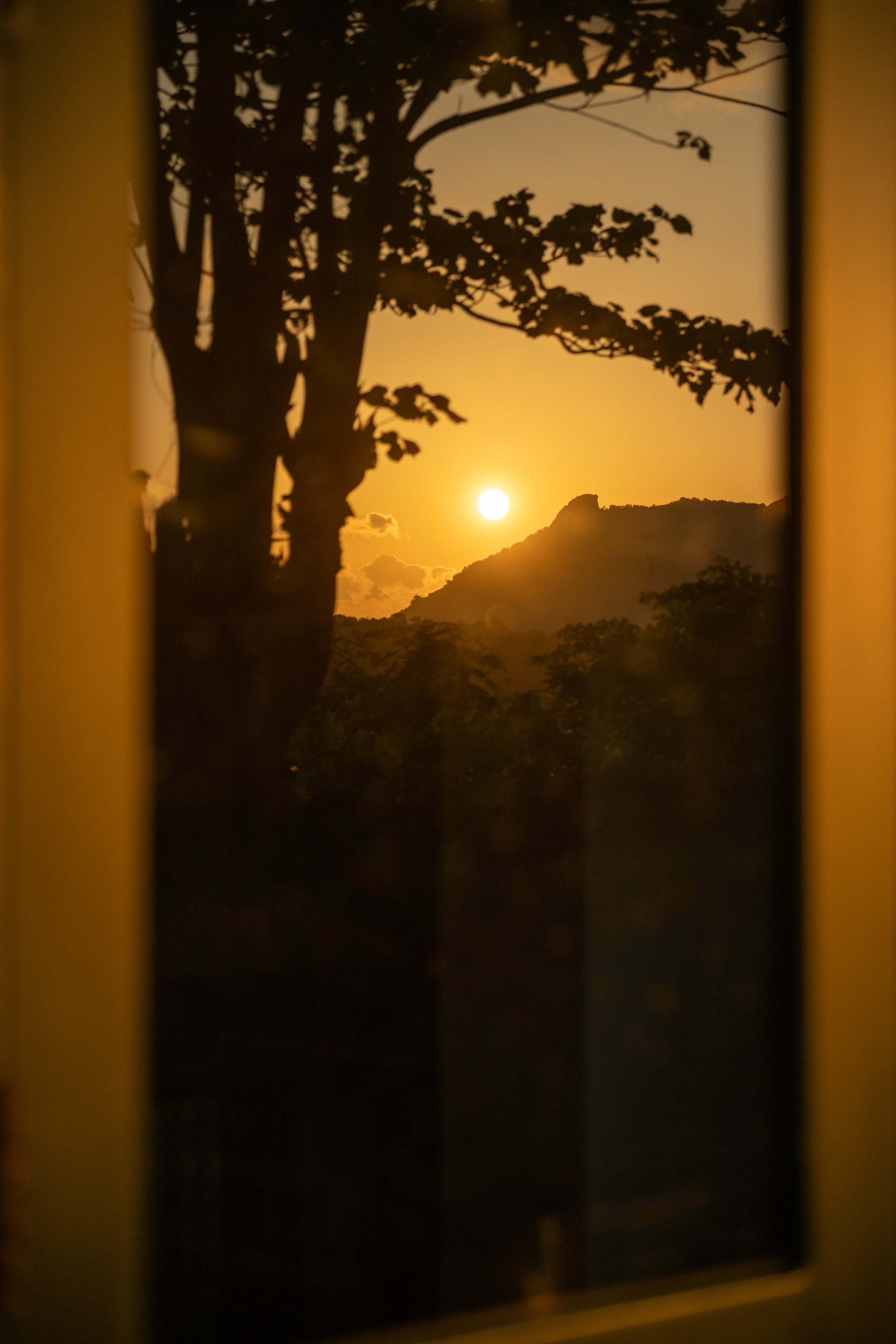 View of the sun setting behind a mountain and trees, seen through a window with curtains.