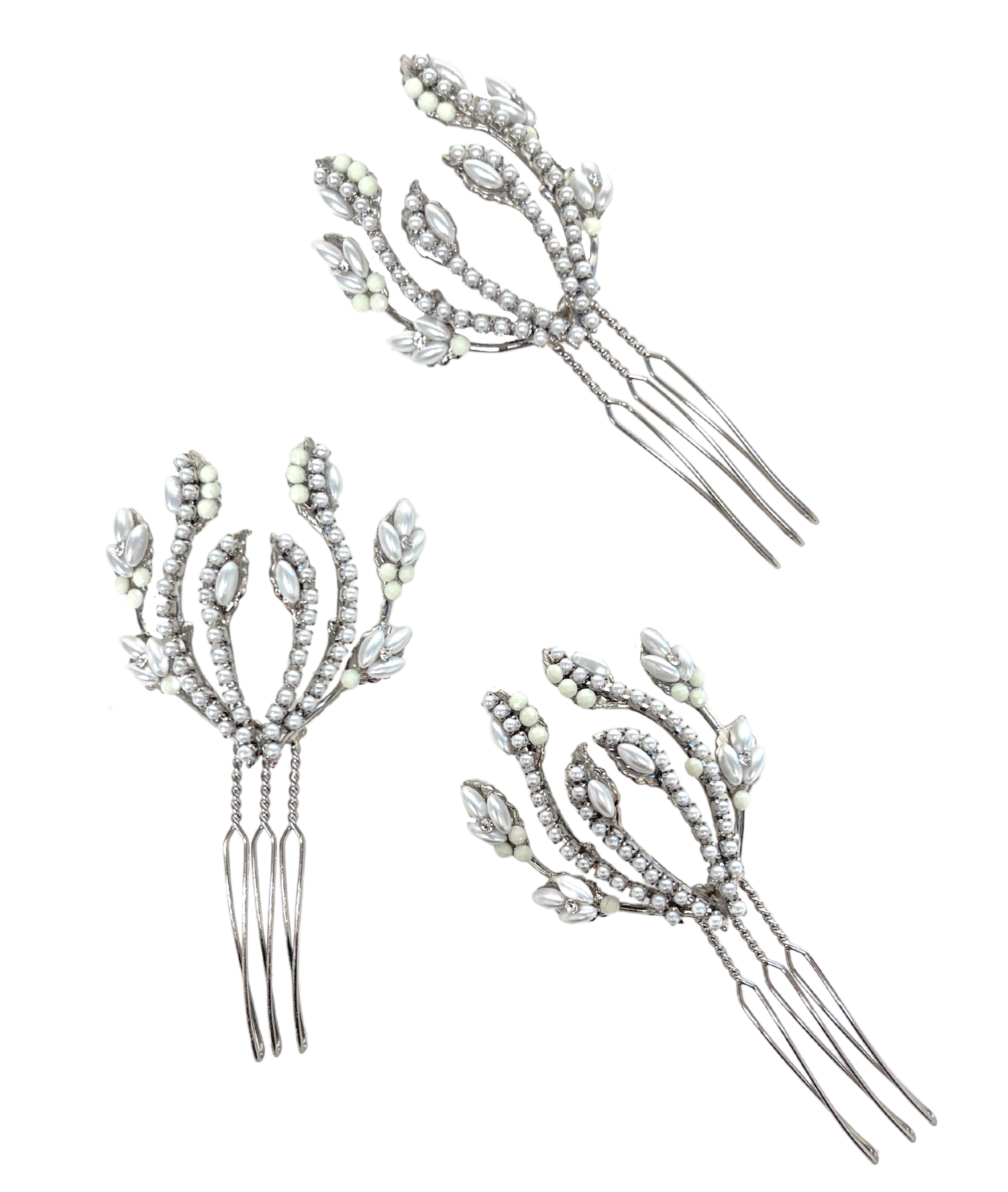 COMB 21-07 WISTERIA .png