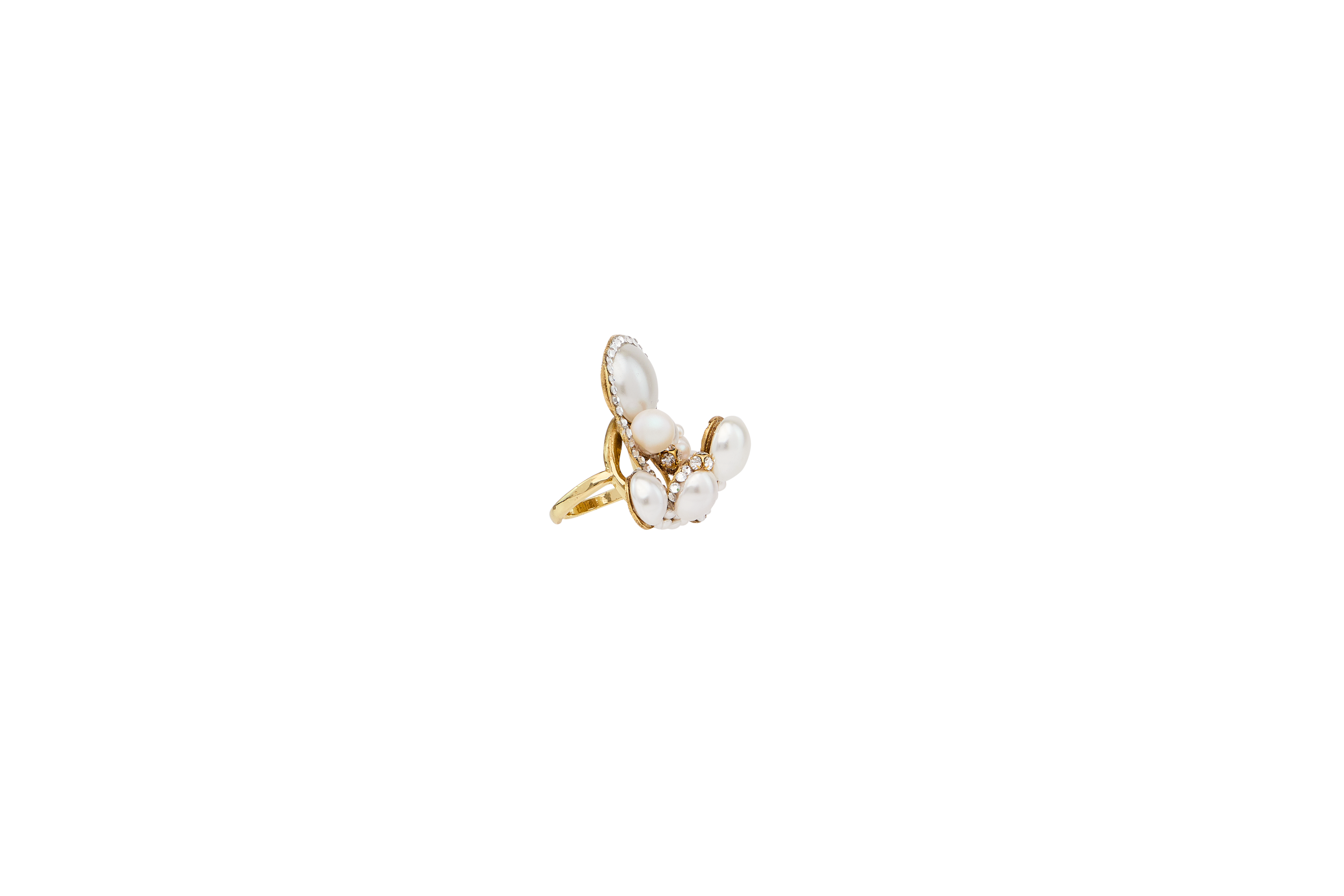 RING 24-26 COURA 2.png