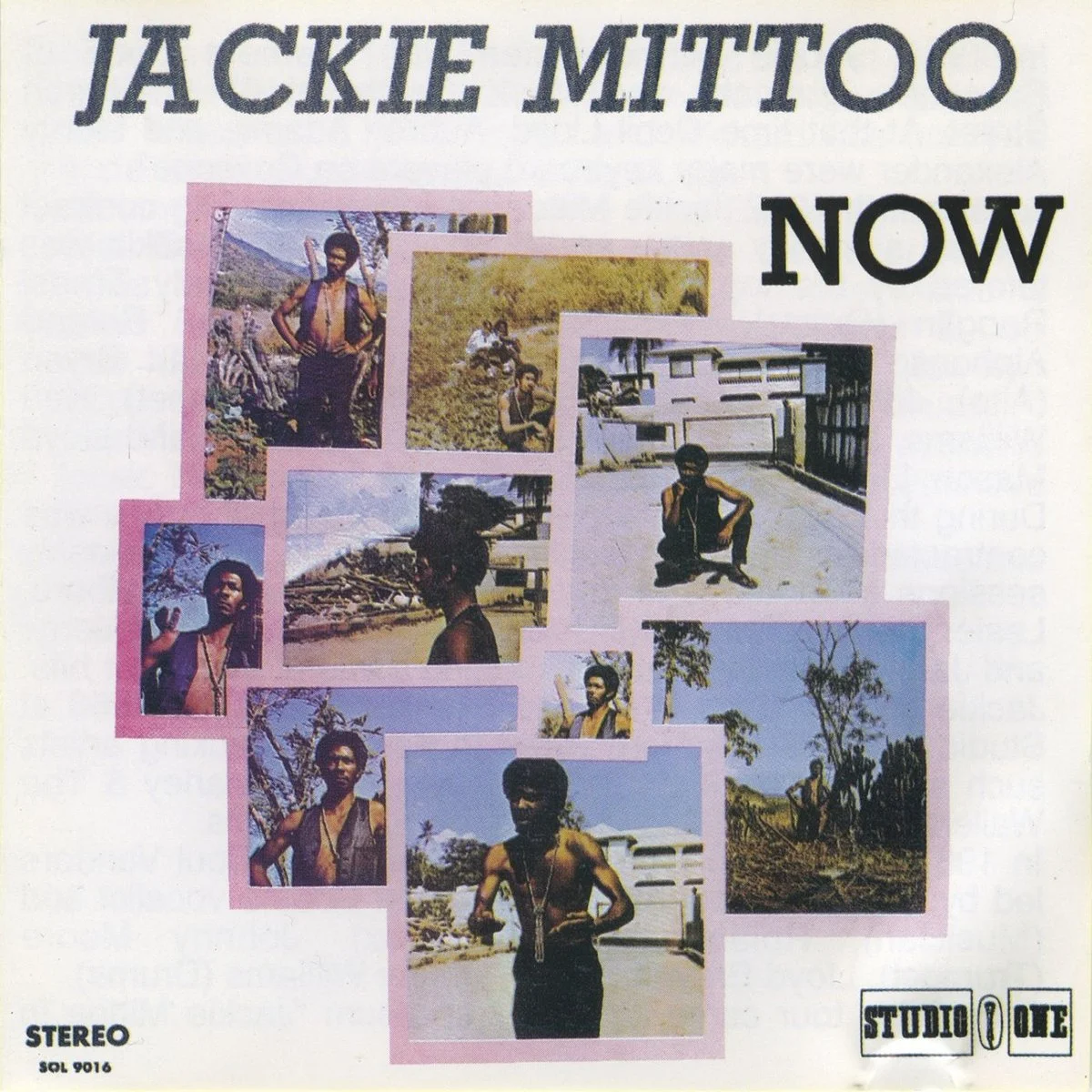jackie_mitto_now