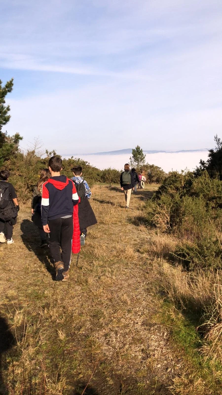 WhatsApp Image 2024-02-12 at 17.07.46 (1).jpeg