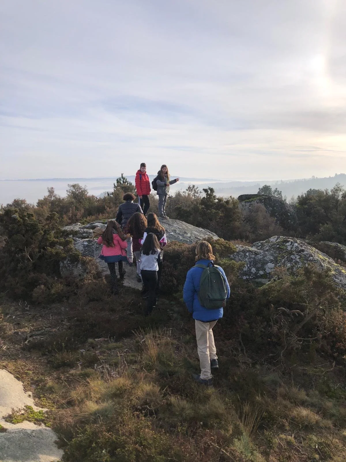 WhatsApp Image 2024-02-12 at 17.07.46.jpeg