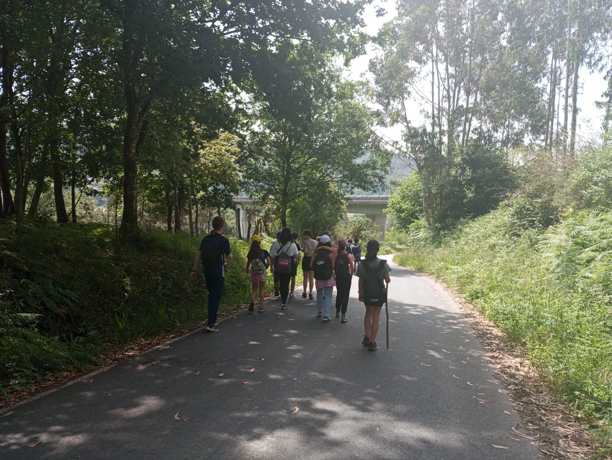 CaminodeSantiago6.jpeg