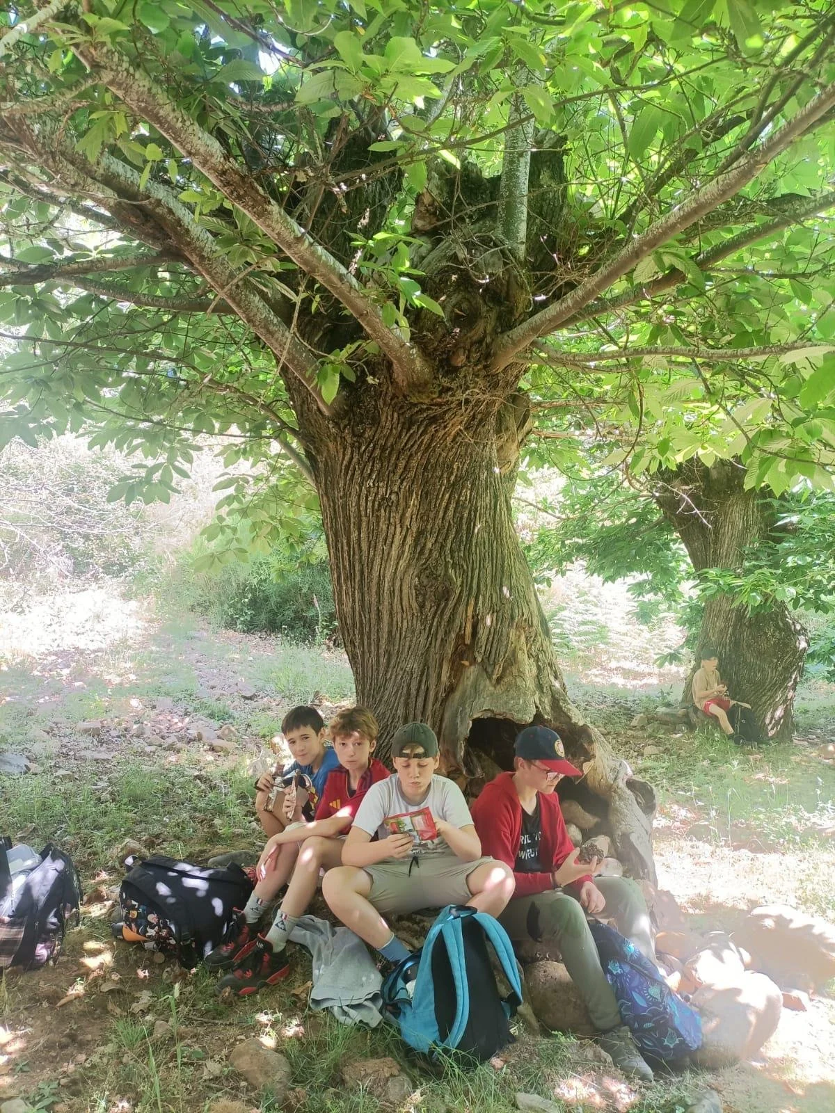 excursion4.jpeg