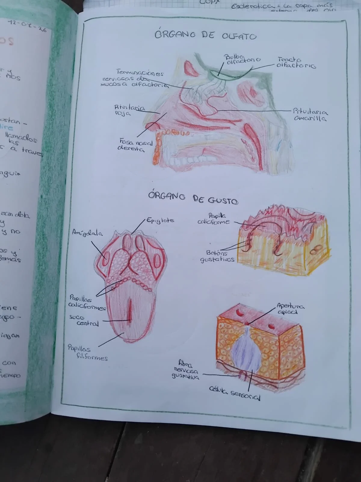 WhatsApp Image 2026-01-25 at 21.00.56.jpeg