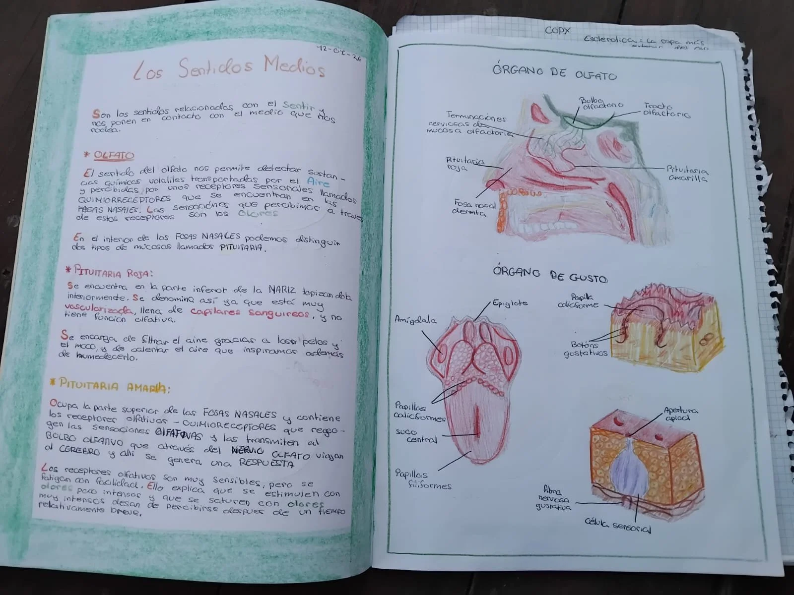 WhatsApp Image 2026-01-25 at 21.01.05 (1).jpeg