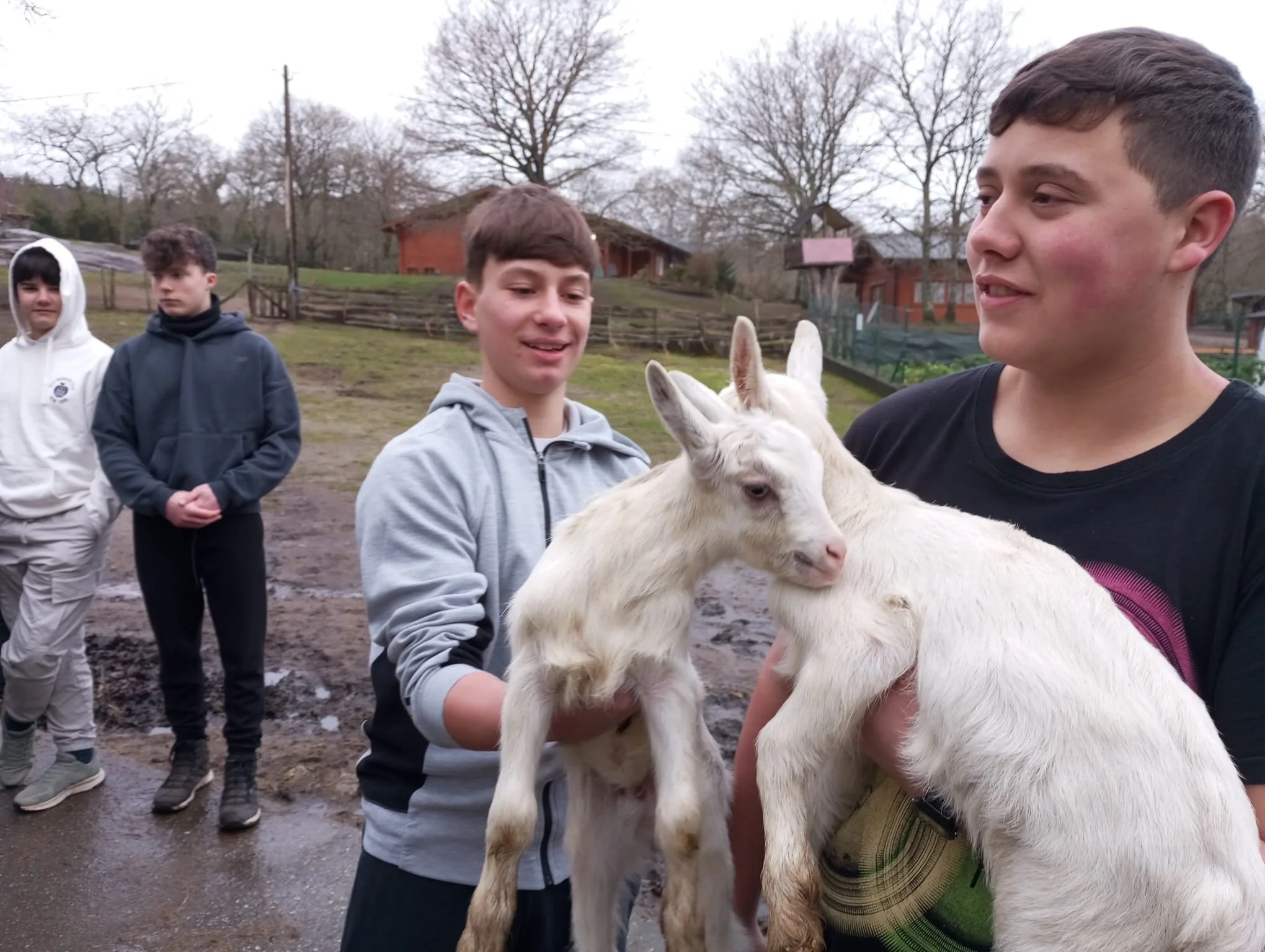 WhatsApp Image 2026-01-30 at 16.38.15 (1).jpeg