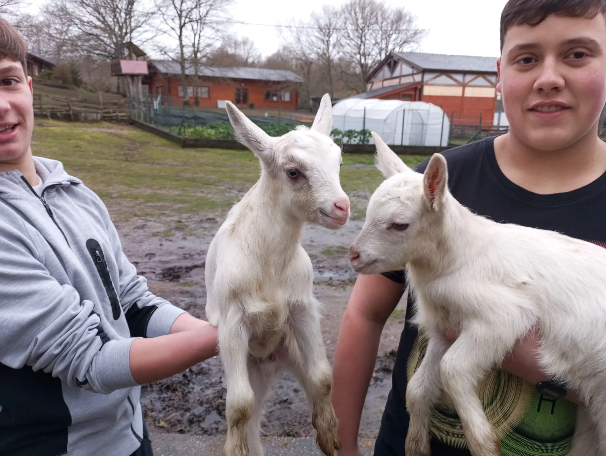 WhatsApp Image 2026-01-30 at 16.38.15 (3).jpeg