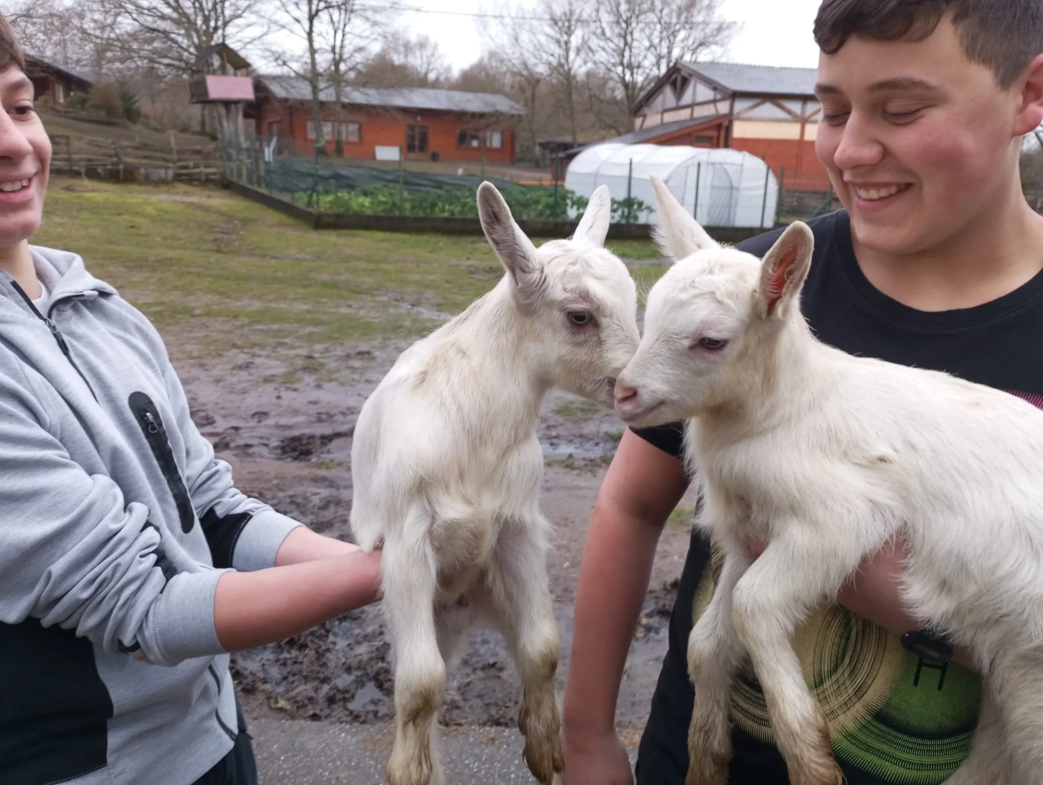Alegría y vida nueva en nuestra granja escolar