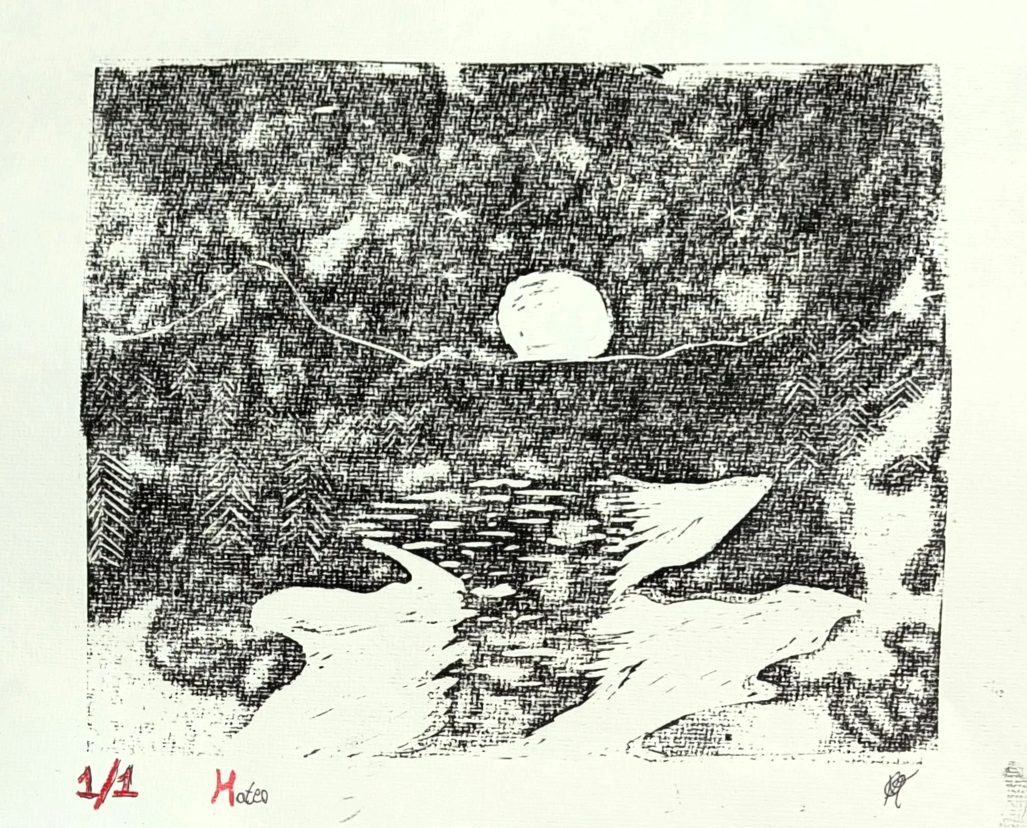 WhatsApp Image 2026-02-04 at 13.21.27.jpeg