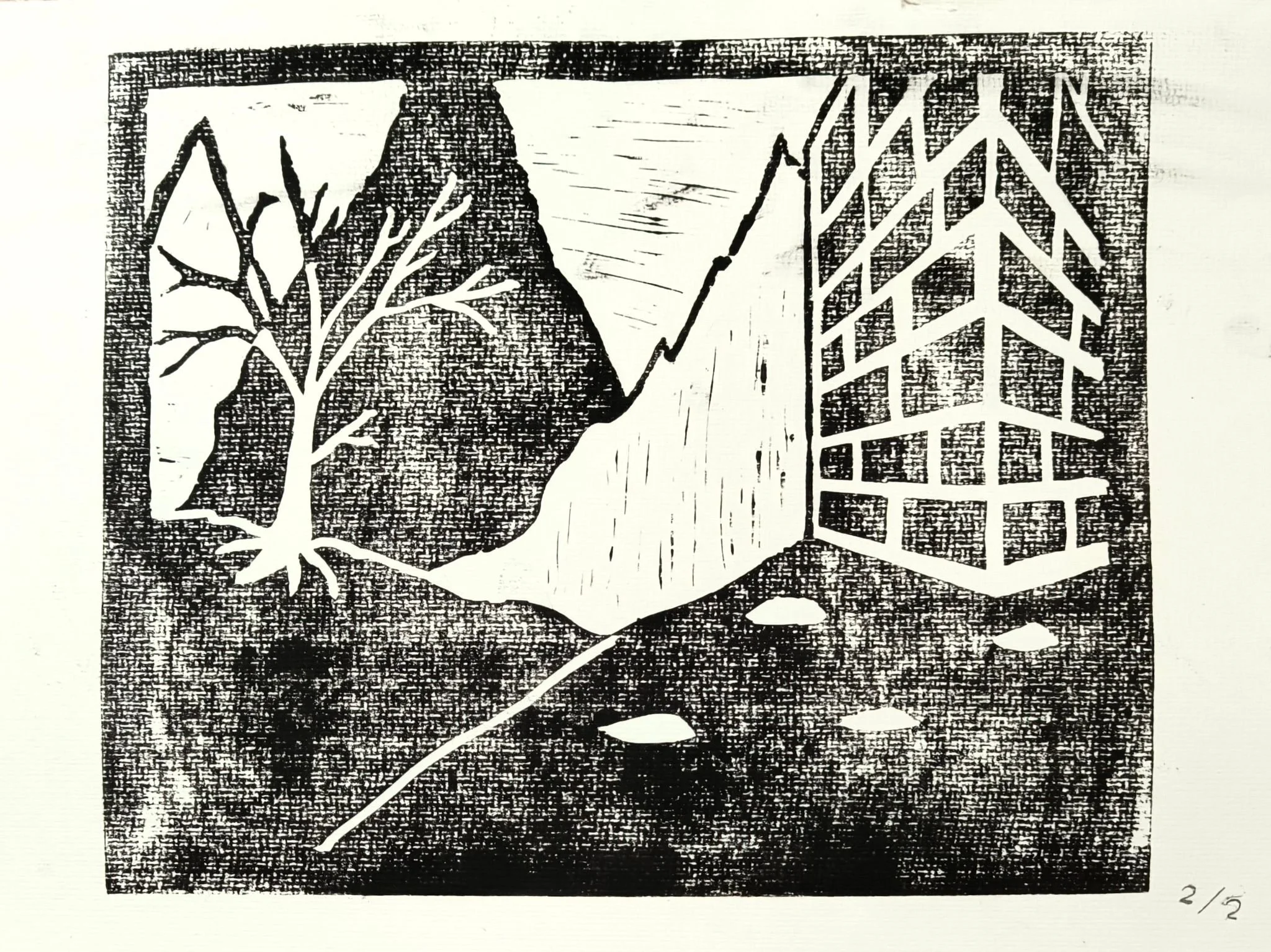 WhatsApp Image 2026-02-04 at 13.21.28.jpeg