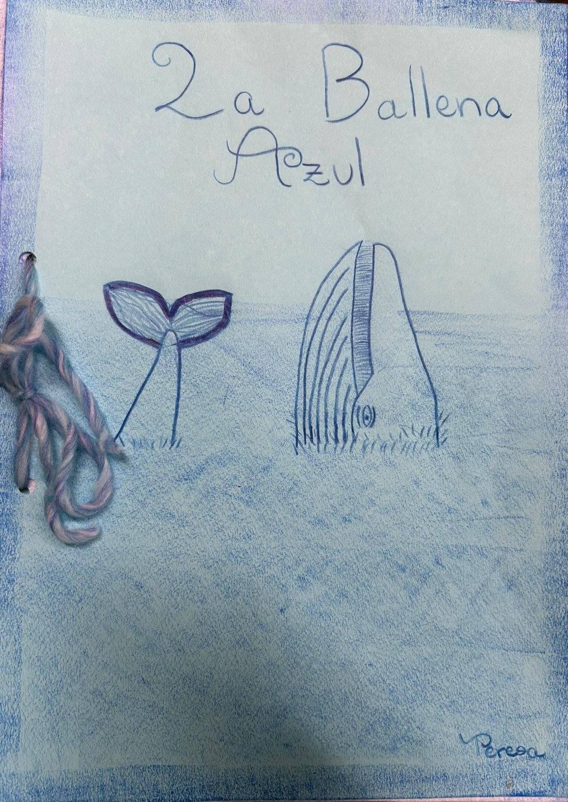 WhatsApp Image 2026-02-09 at 11.14.53 (3).jpeg