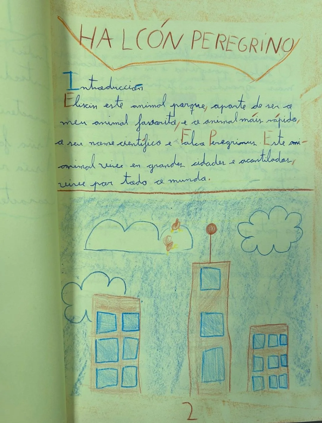 WhatsApp Image 2026-02-09 at 11.14.54 (2).jpeg