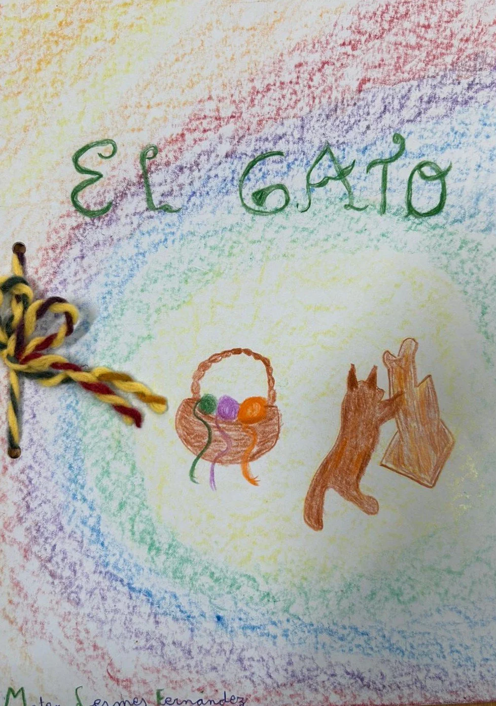 WhatsApp Image 2026-02-09 at 11.14.55 (1).jpeg