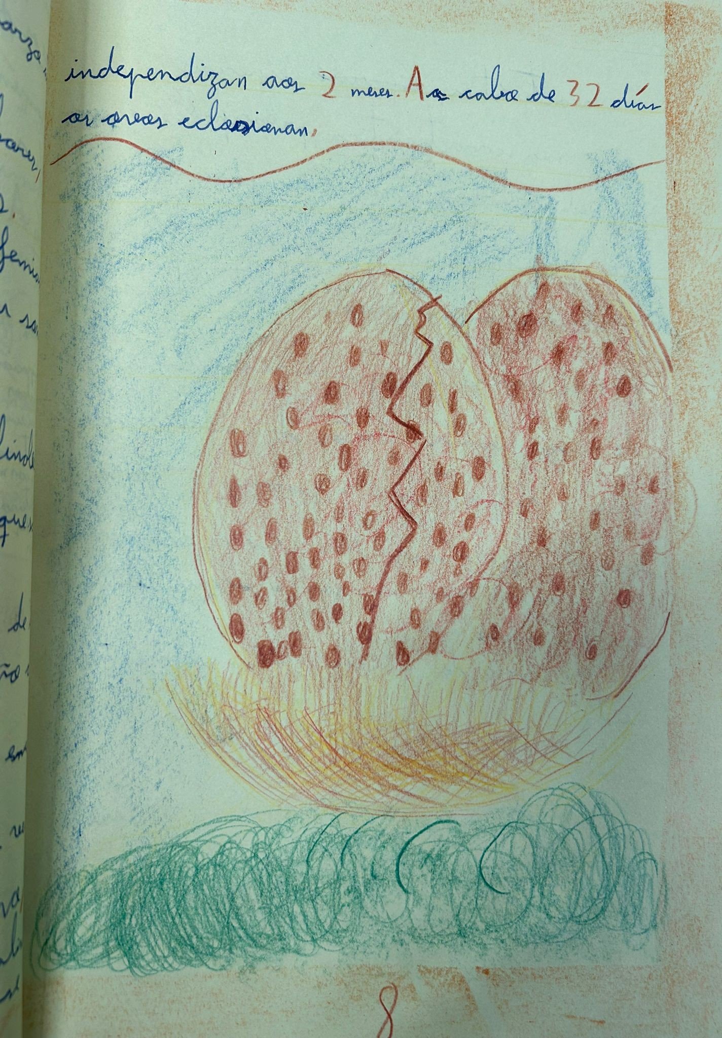 WhatsApp Image 2026-02-09 at 11.14.55.jpeg