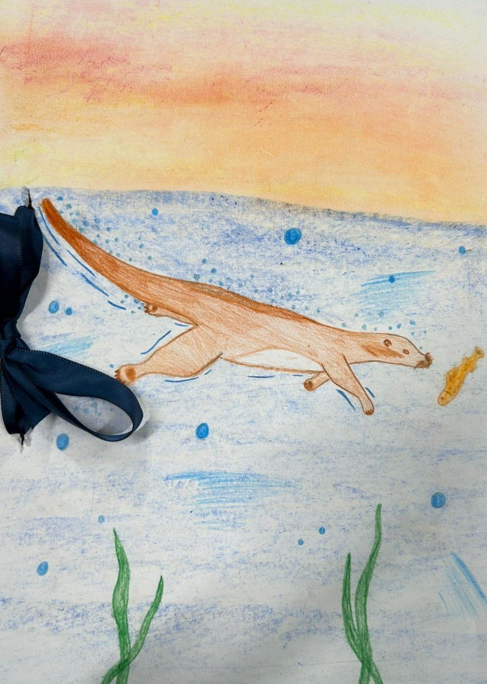 WhatsApp Image 2026-02-09 at 11.14.56 (1).jpeg