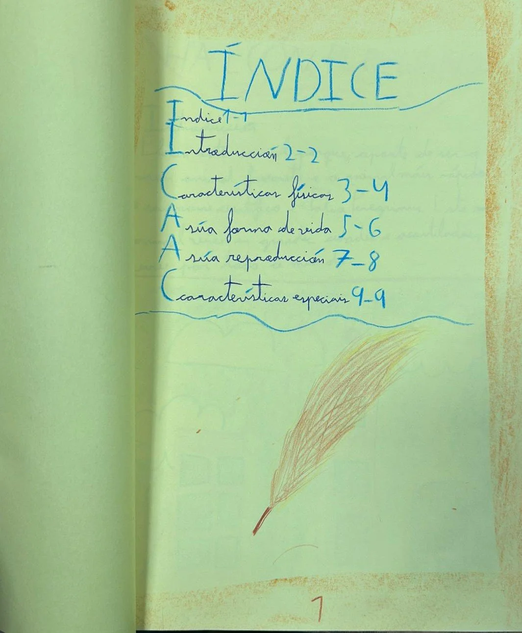 WhatsApp Image 2026-02-09 at 11.14.54 (1).jpeg