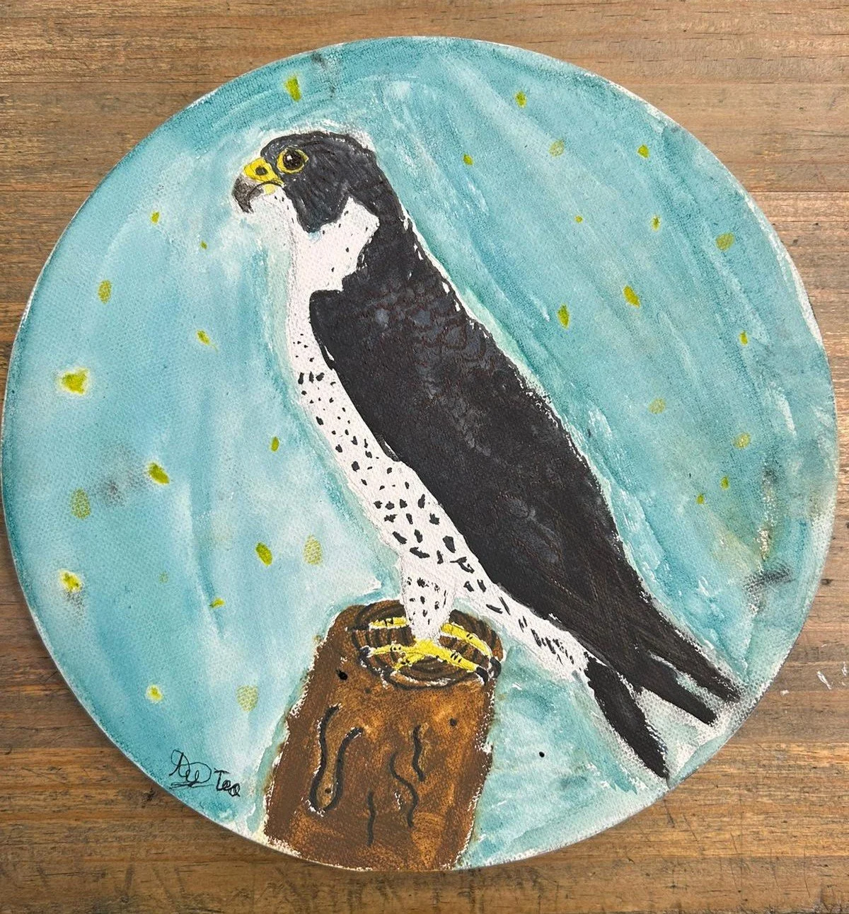 Un viaje por la diversidad animal: los trabajos de la 5.ª clase