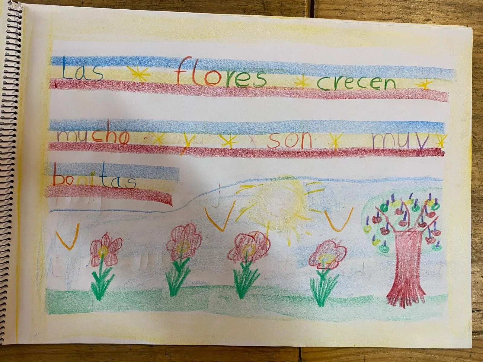 WhatsApp Image 2026-03-16 at 13.32.02 (5).jpeg