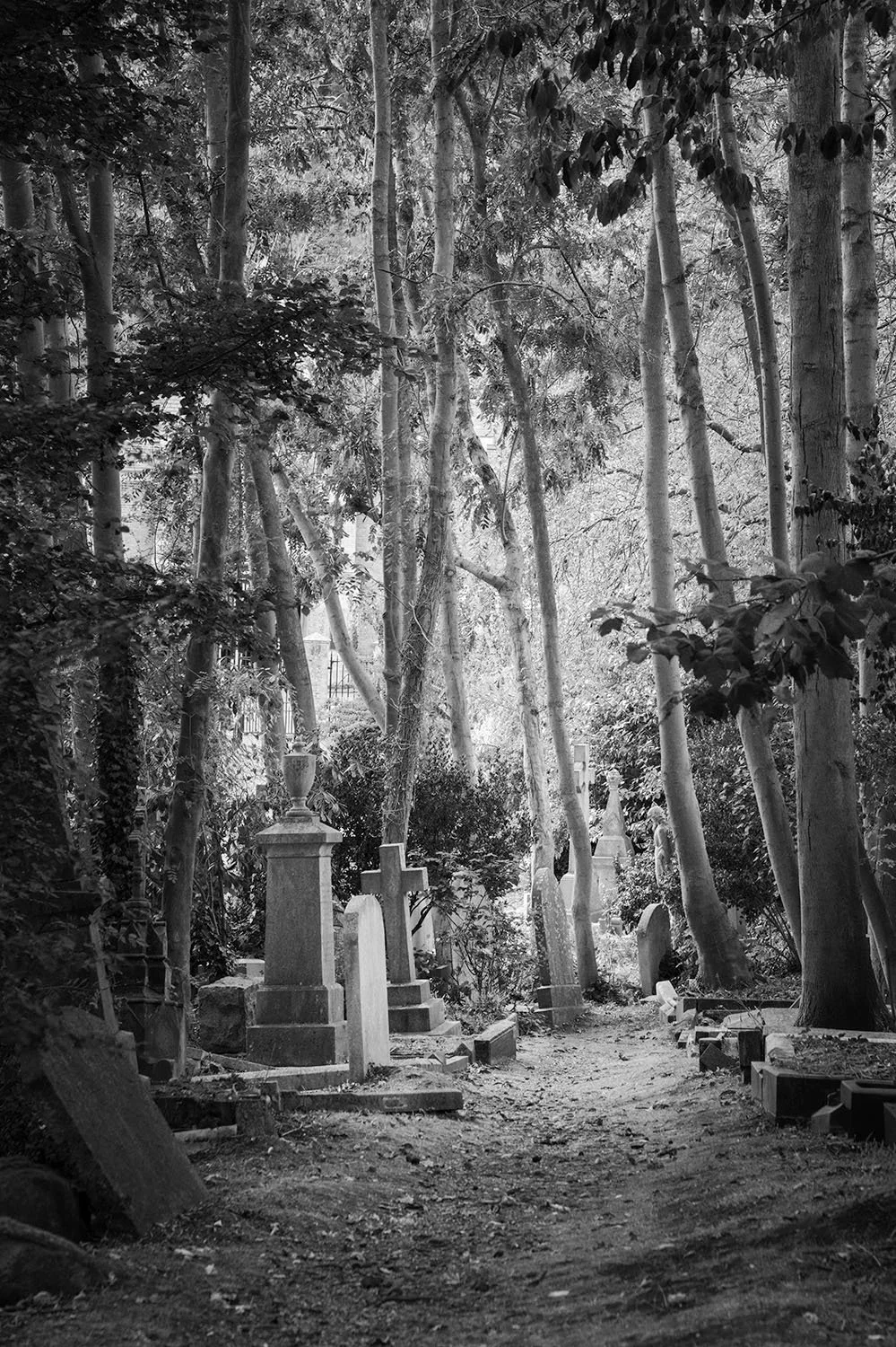 Highgate cemetery 