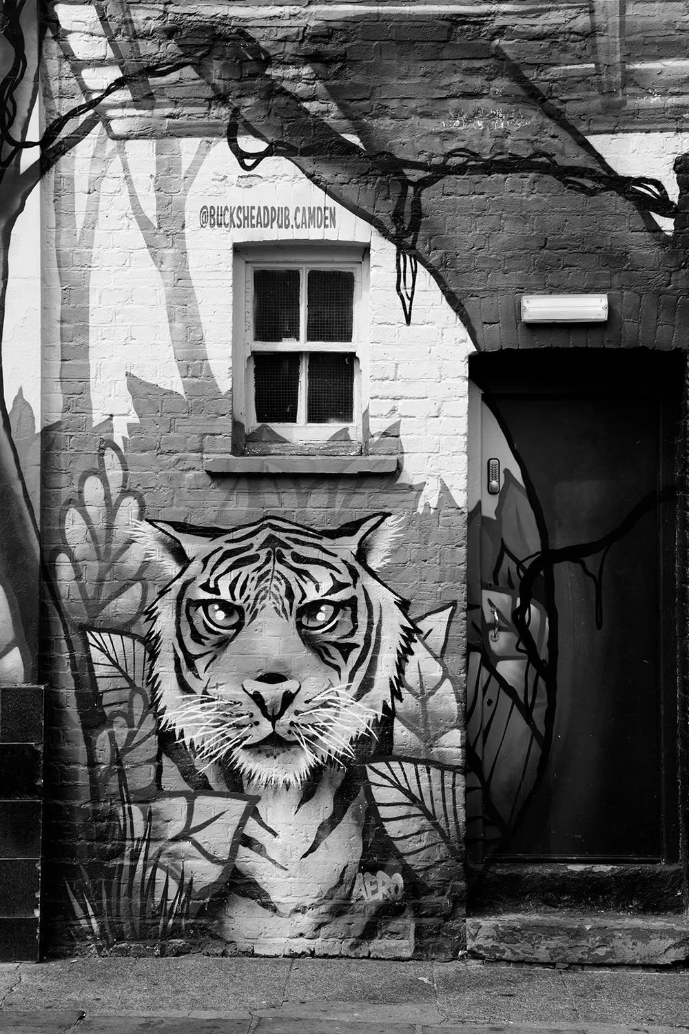 Camden street tiger