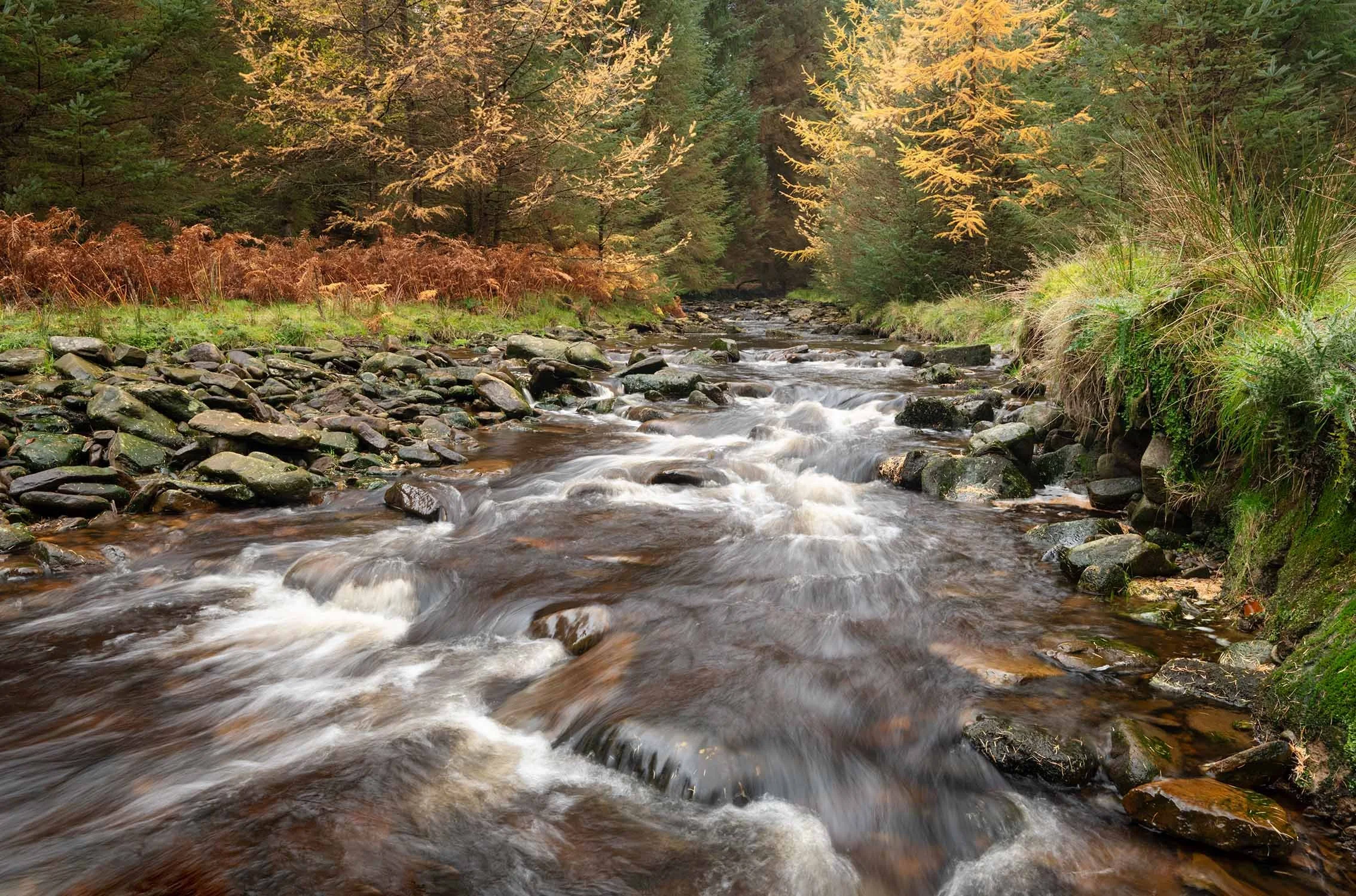 Snakes Pass waterfall - Peaks