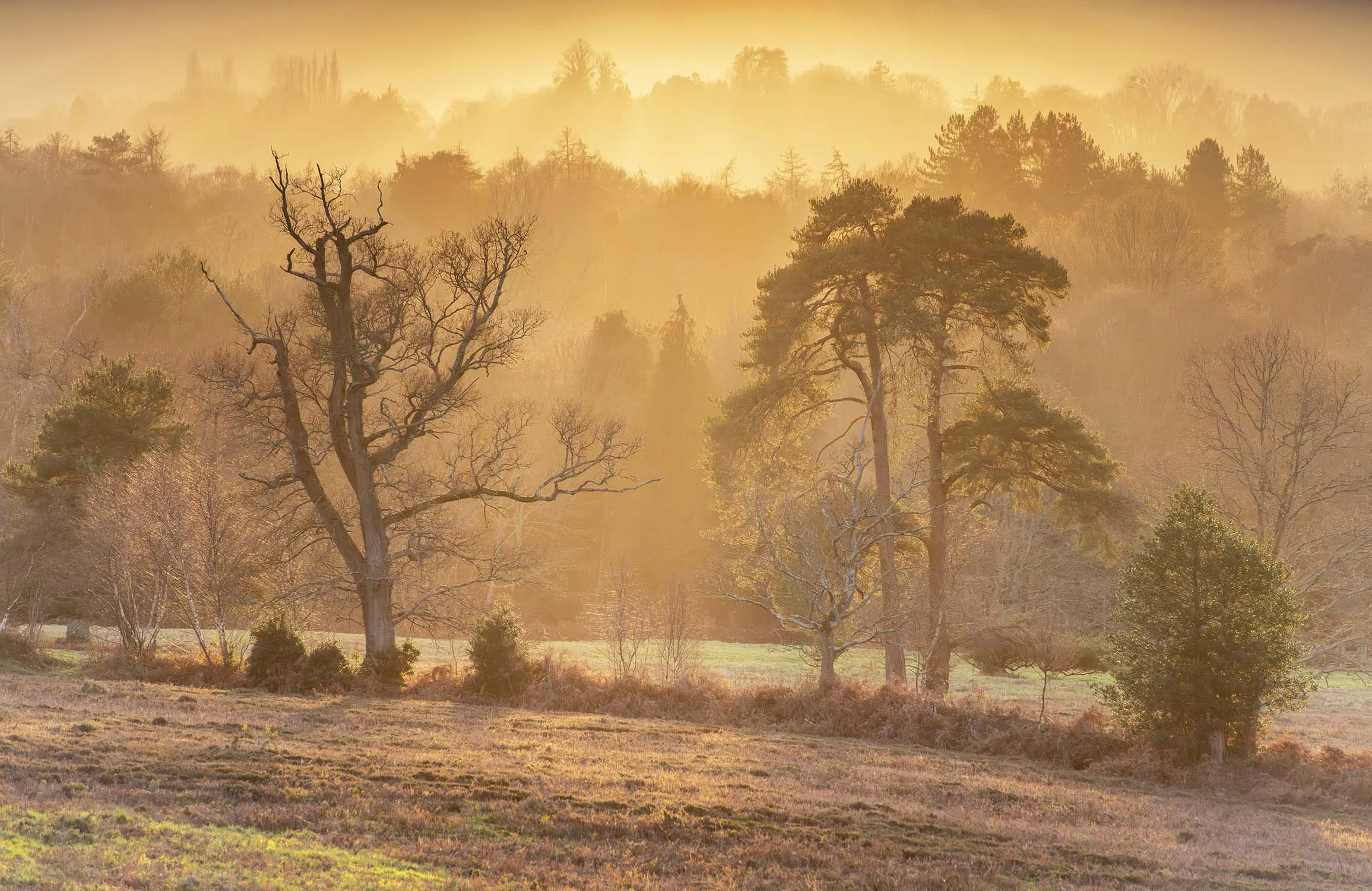 Sundown on Lords Piece Common