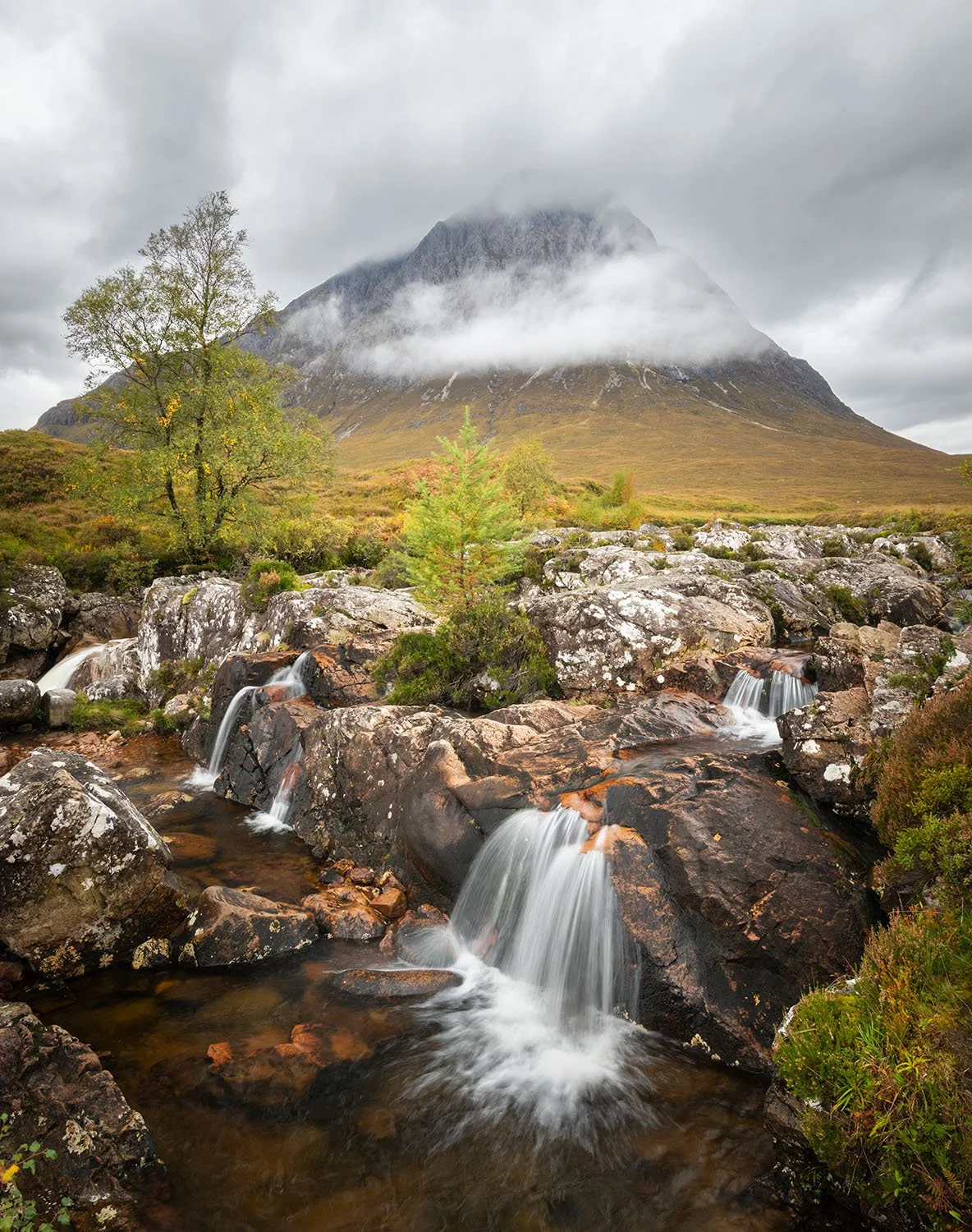 Buachialle Etive Mor