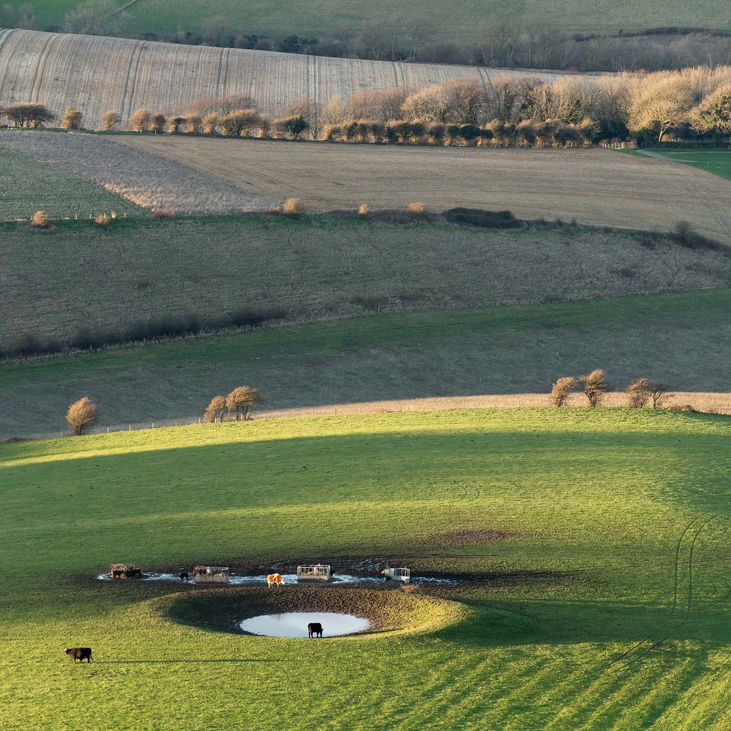 A watering hole on Cold Coombes near Lewes