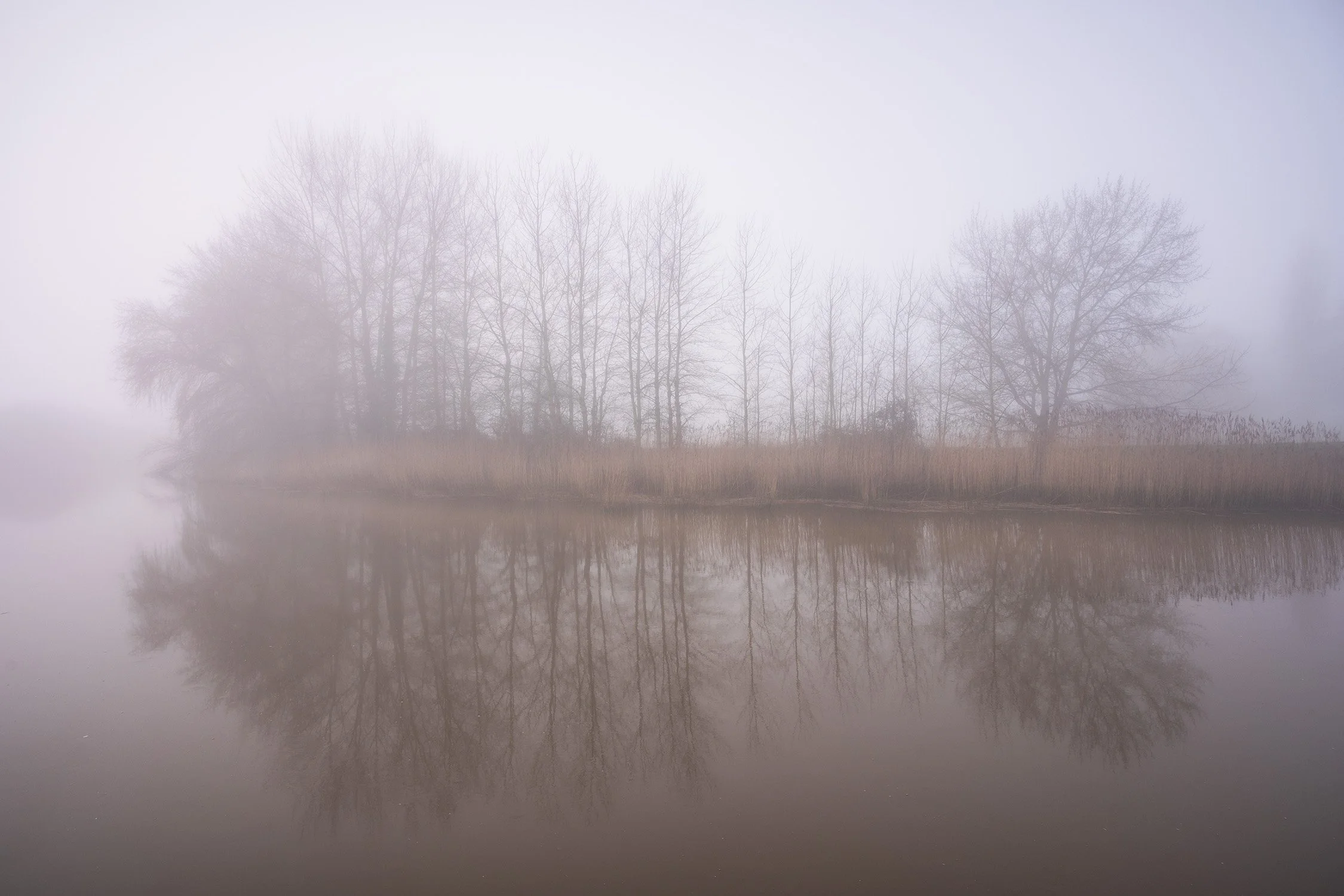 Misty morning on the Arun